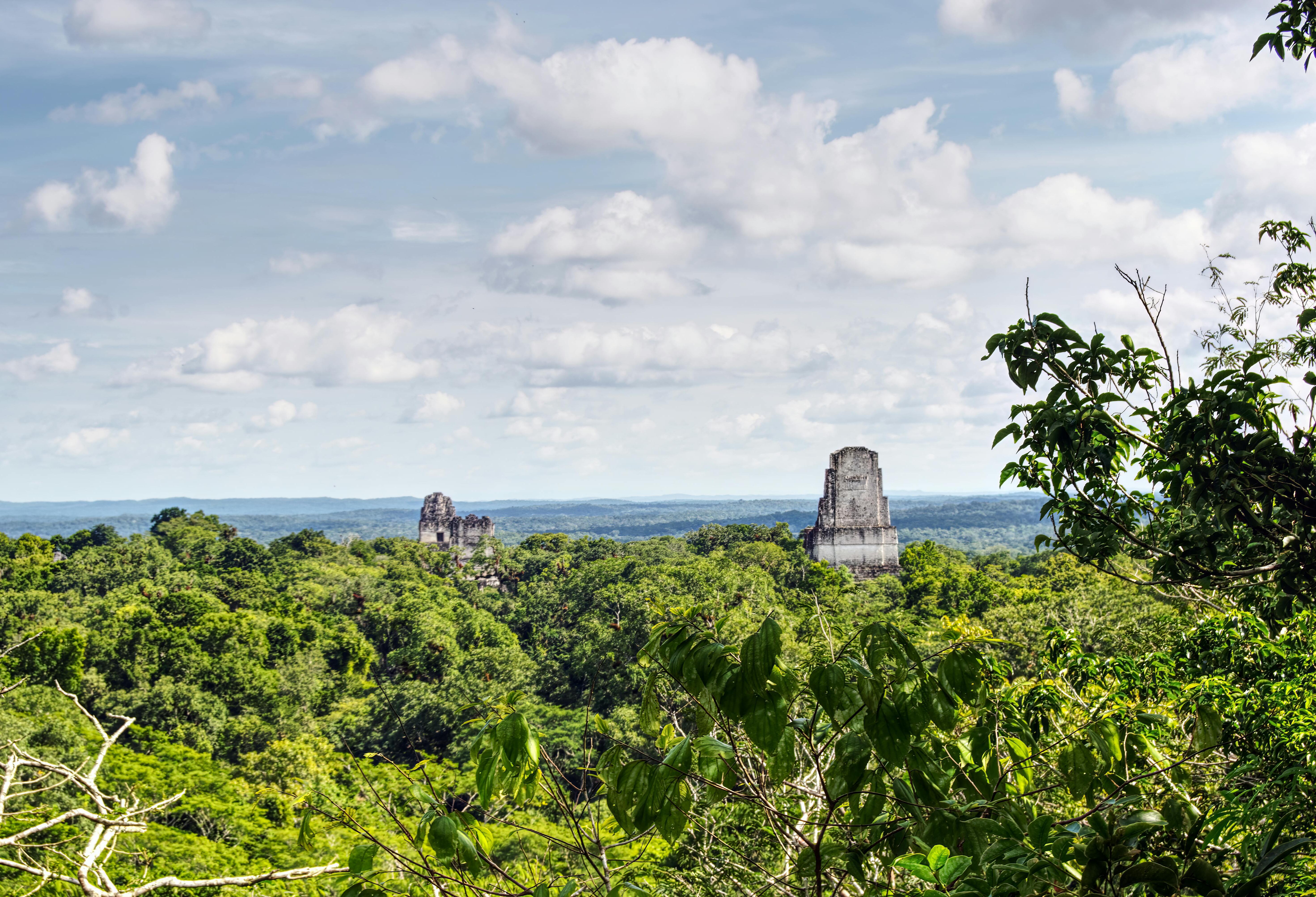 Omgeving van Tikal in Guatemala