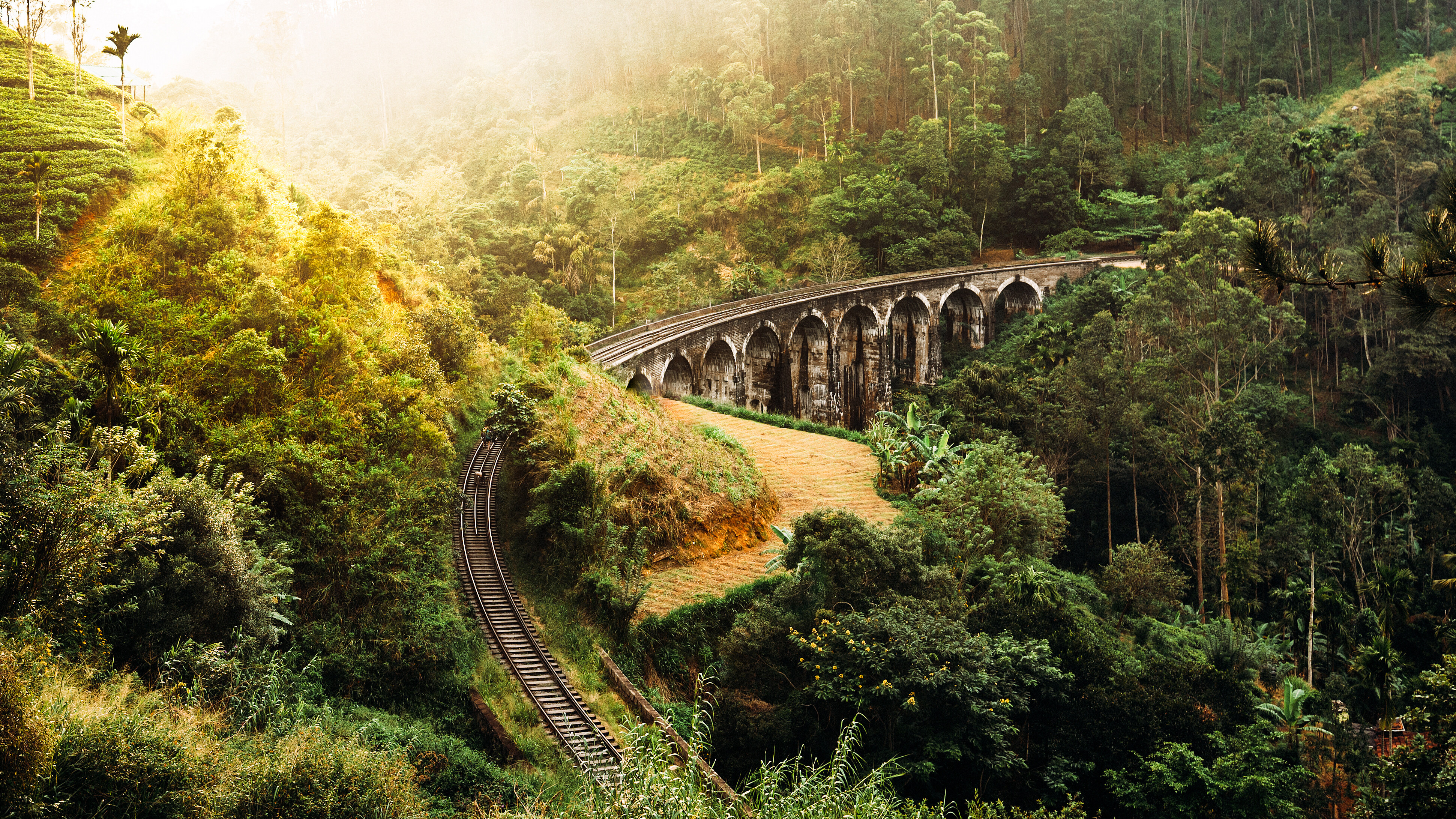 Sri-Lanka-Nine-arch-bridge-trein-theeplantages
