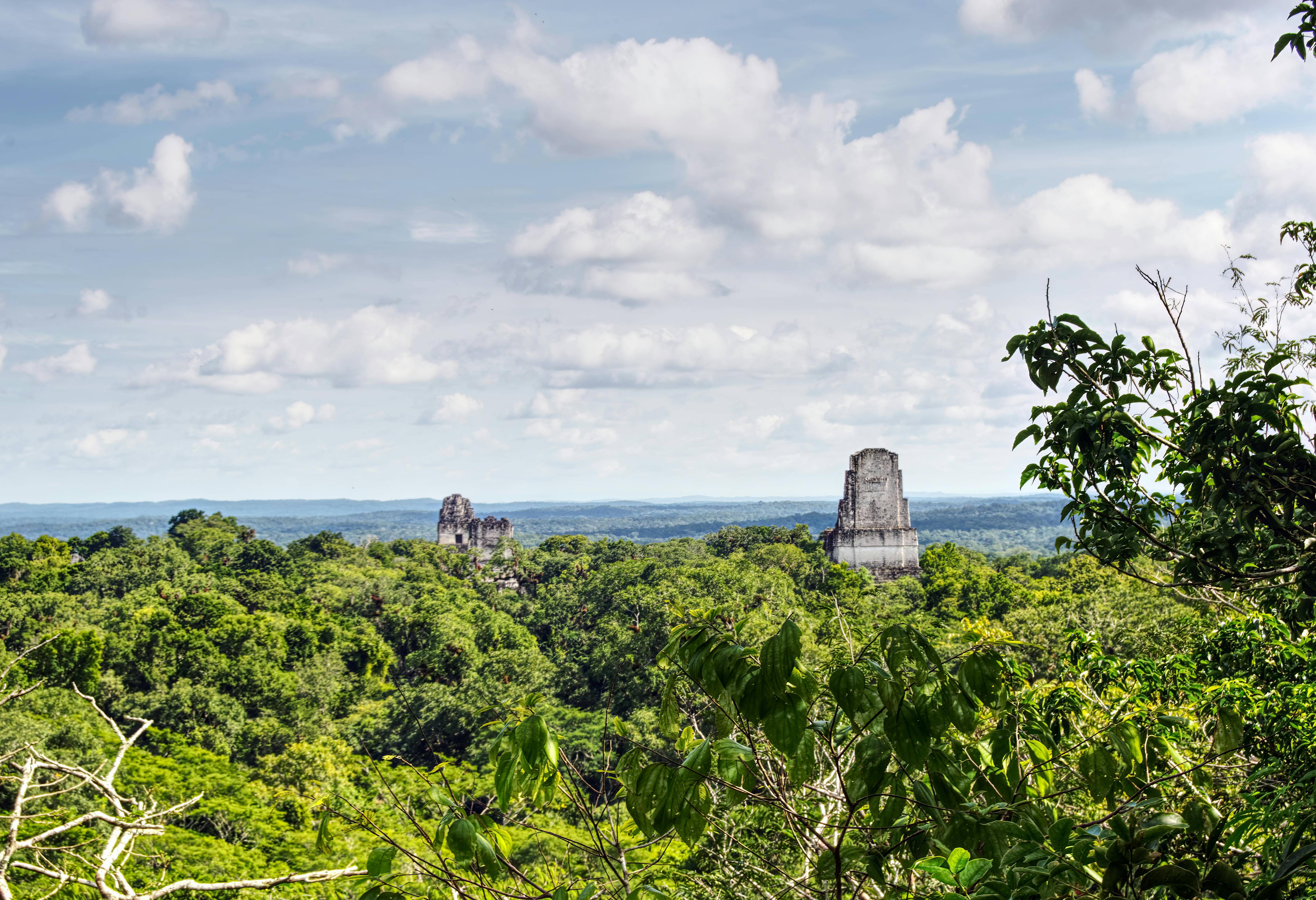 Maya-Stad Tikal in Guatemala