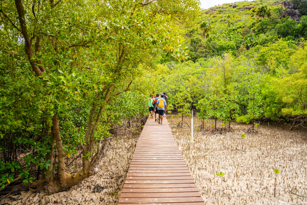 Wandelen in de mangroven op Curieuse