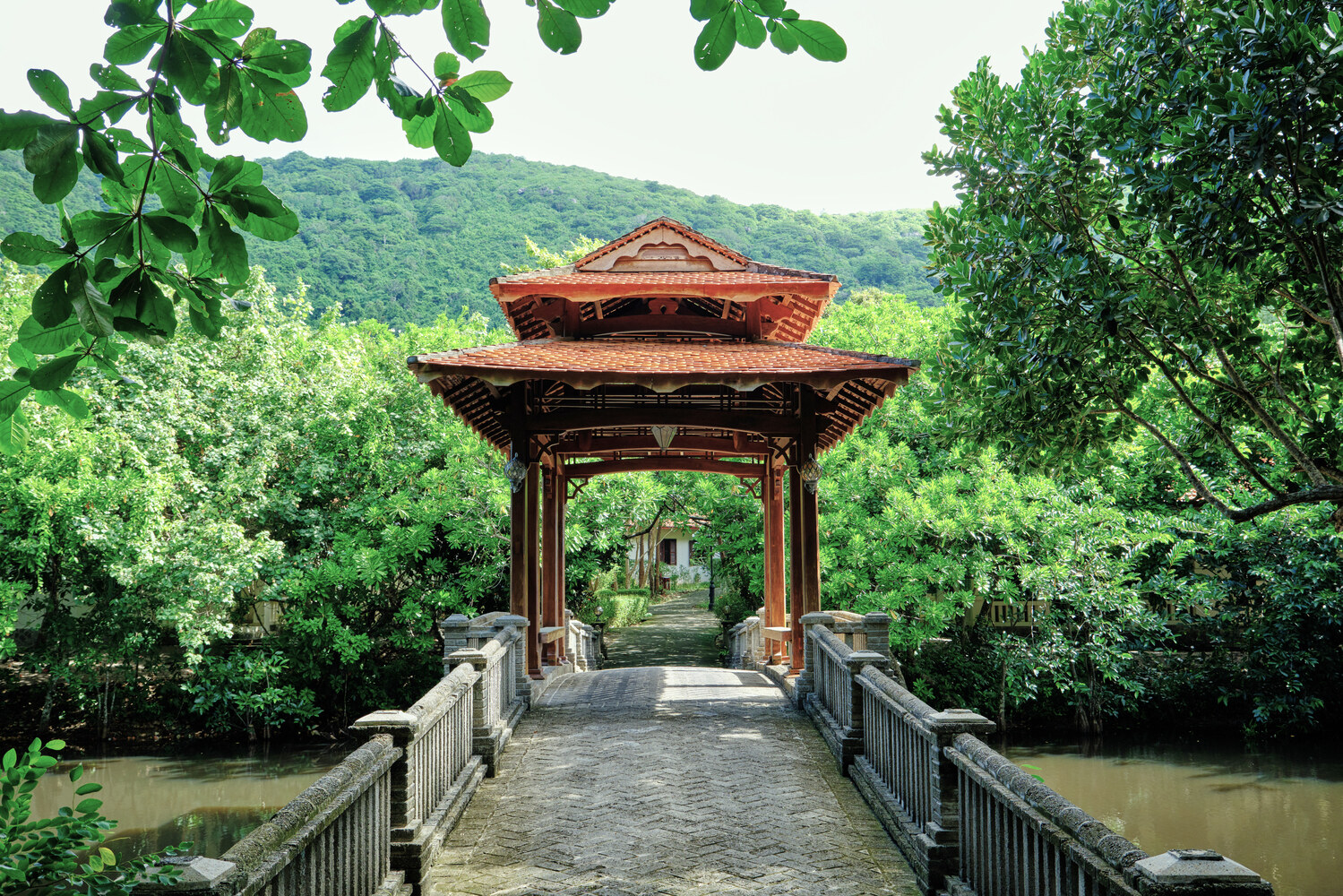 Vietnam Con Dao Poulo Condor Boutique Resort Tuinen