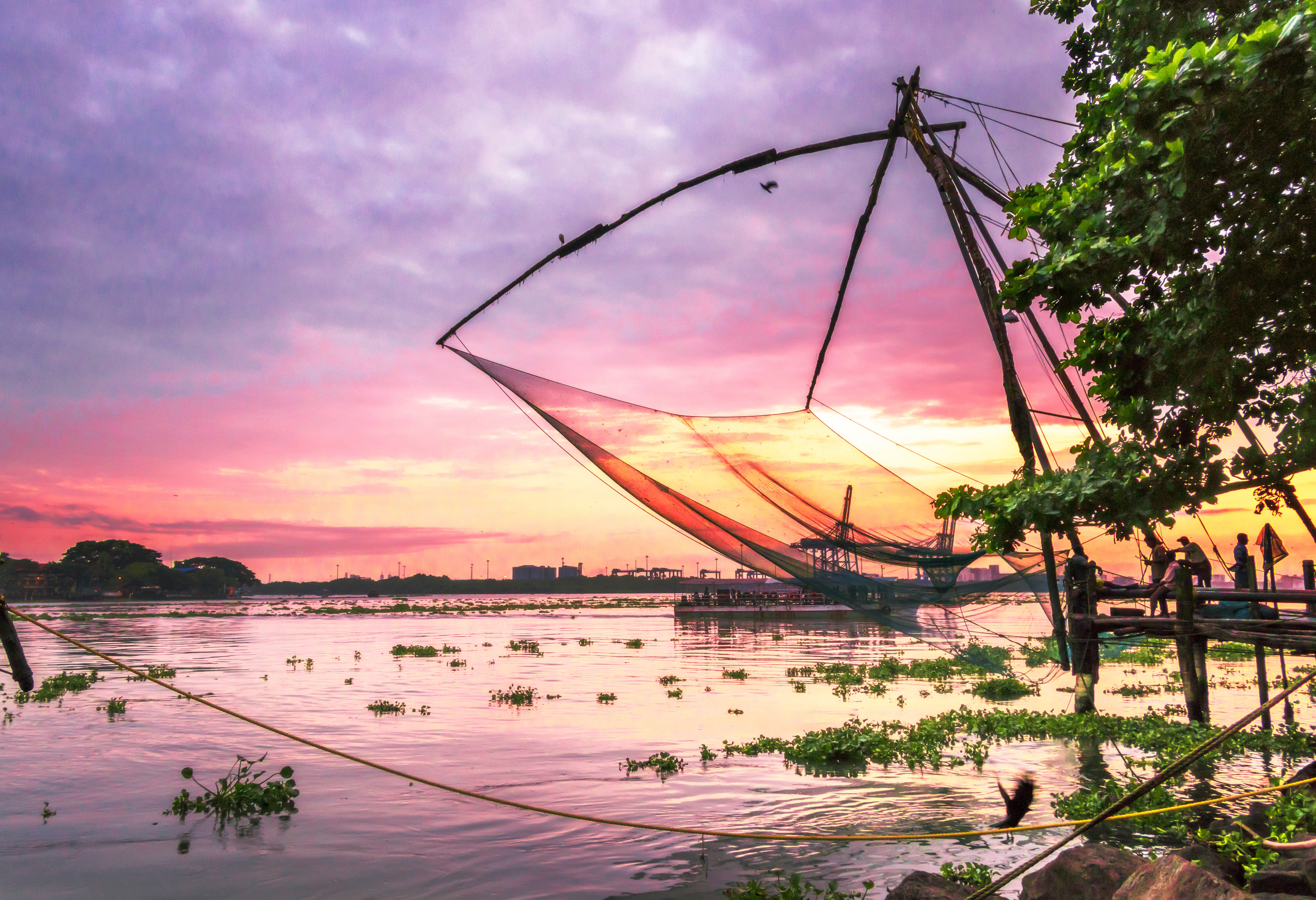 Chinese visnetten van Cochin
