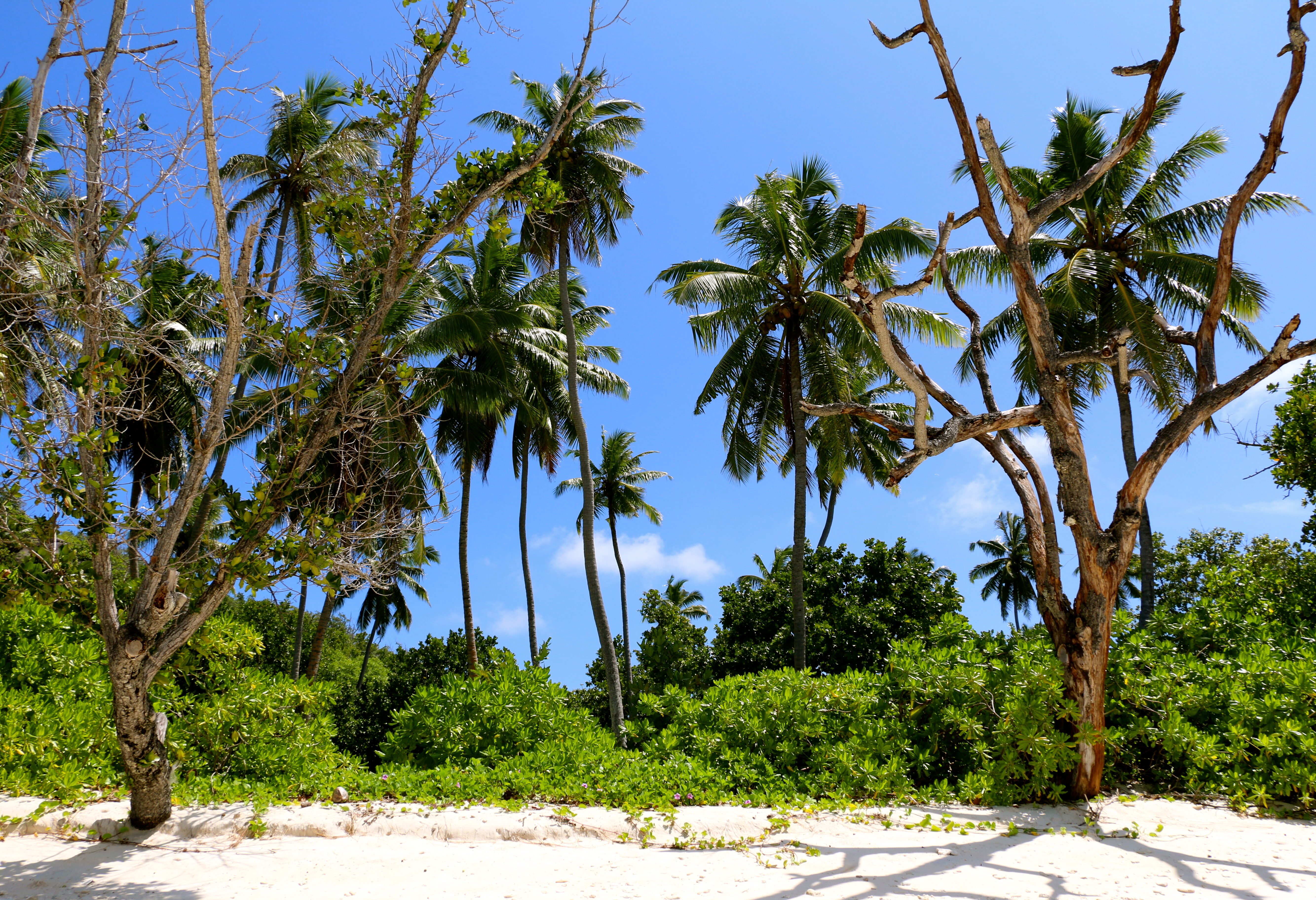 De zustereilanden van de Seychellen