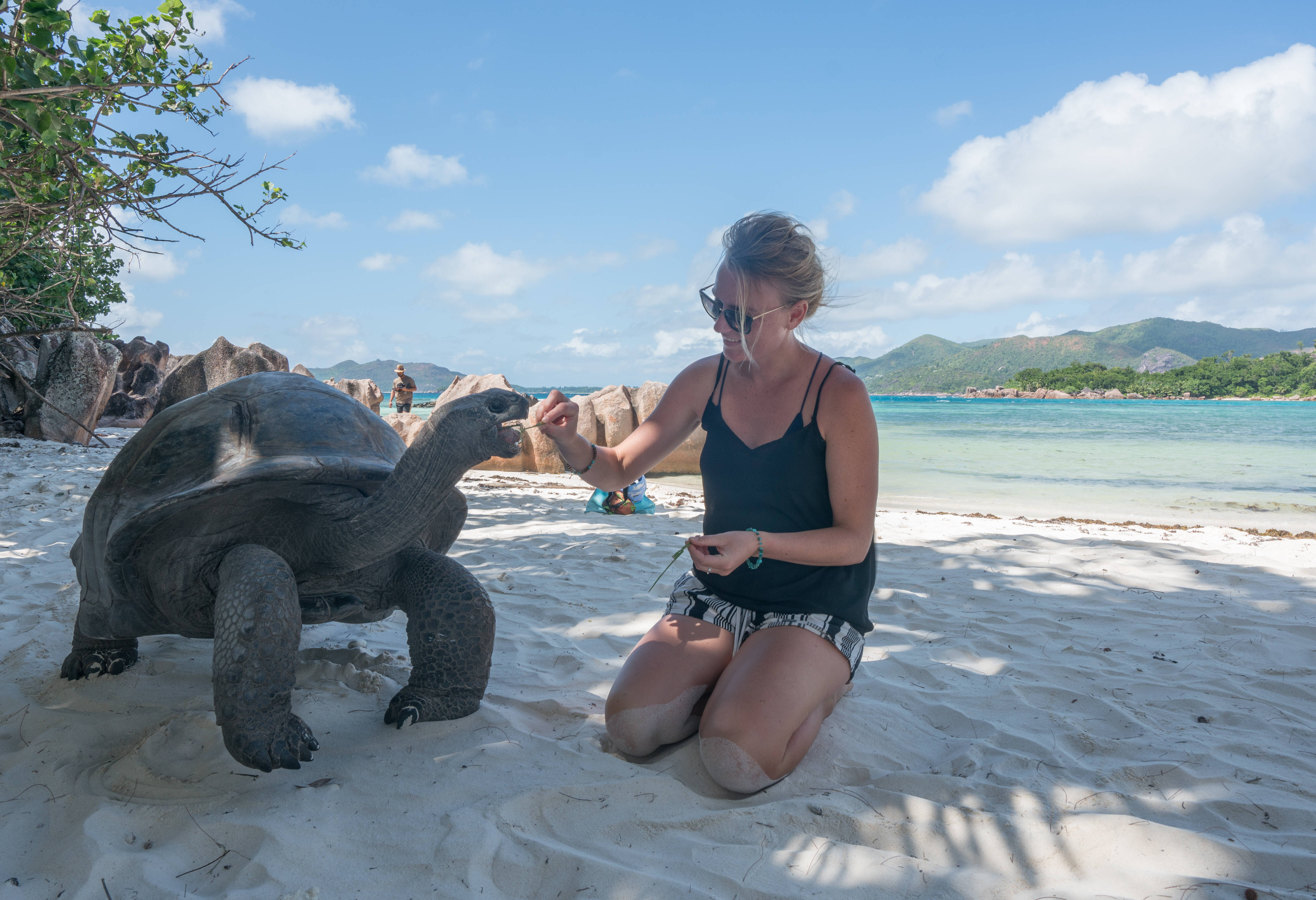 Vrienden maken met de schildpadden op Curieuse
