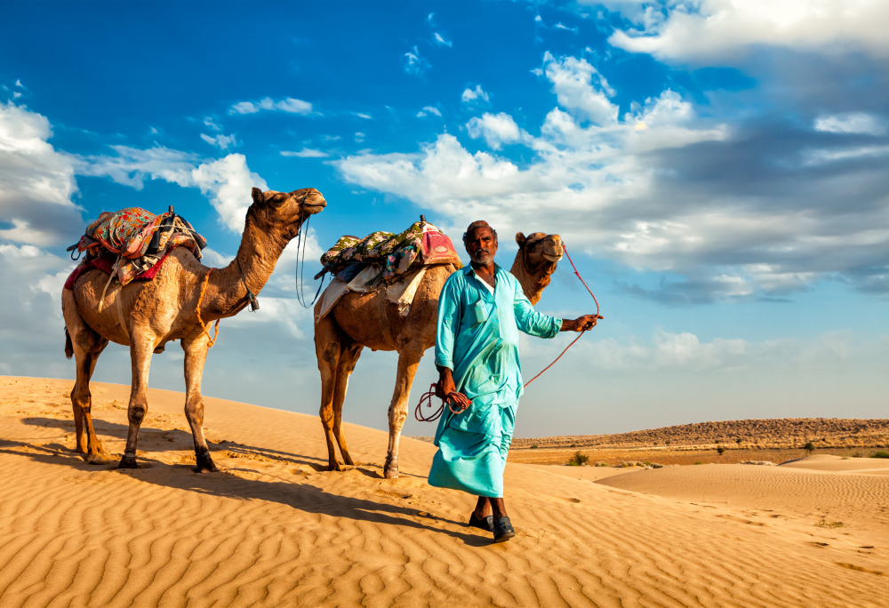 Highlights Rajasthan