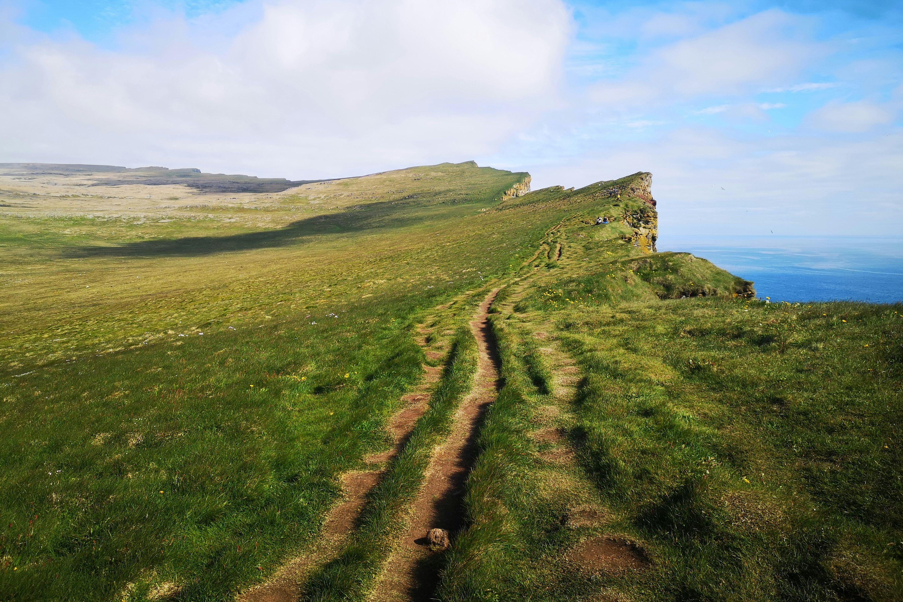 IJsland Westfjorden Latrabjarg