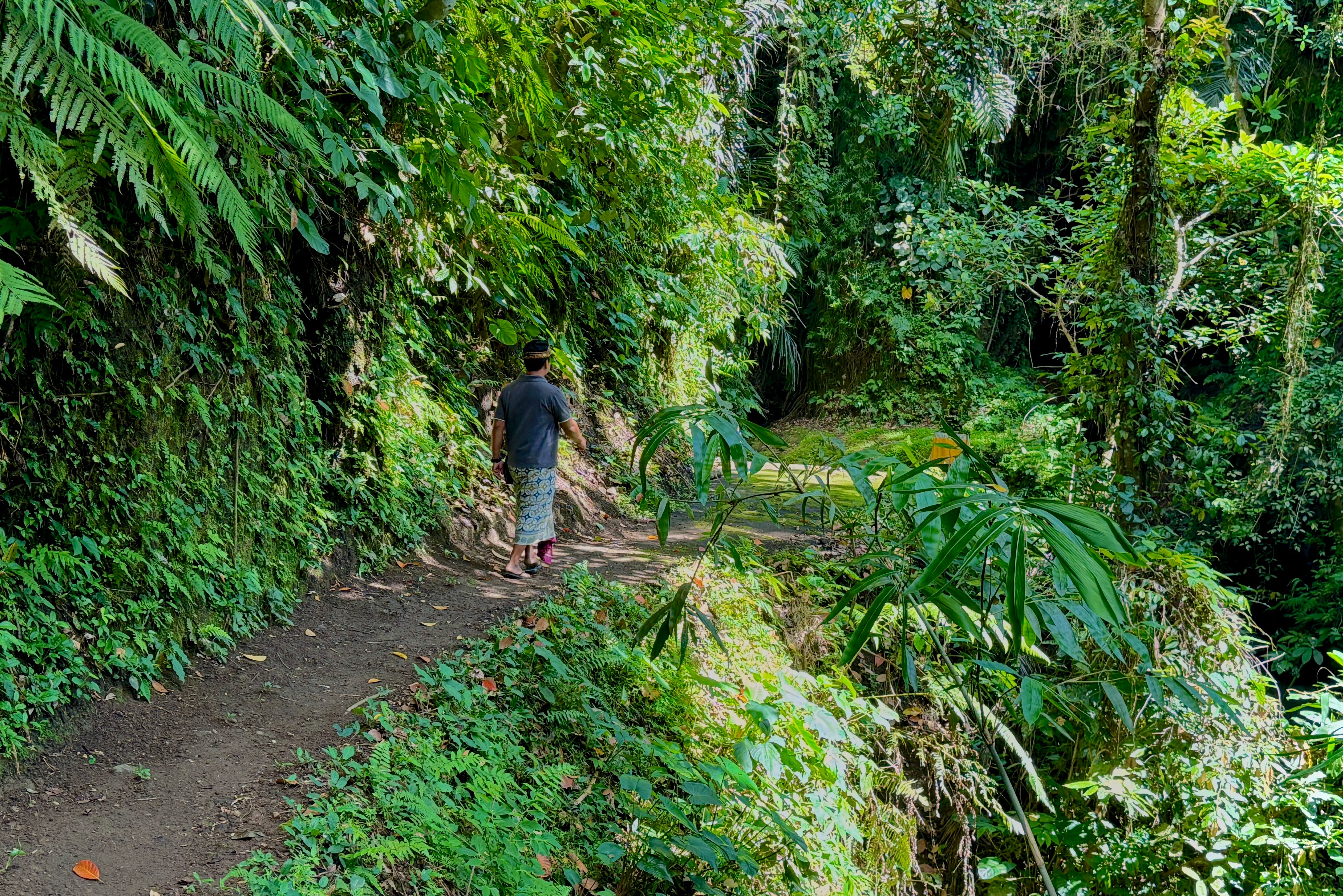 Groene omgeving van Pejeng op Bali in Indonesie