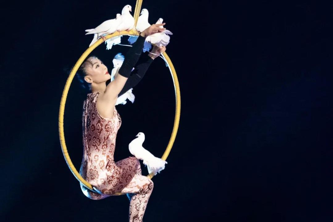 China Shanghai Acrobaten Show Spirit of Shanghai