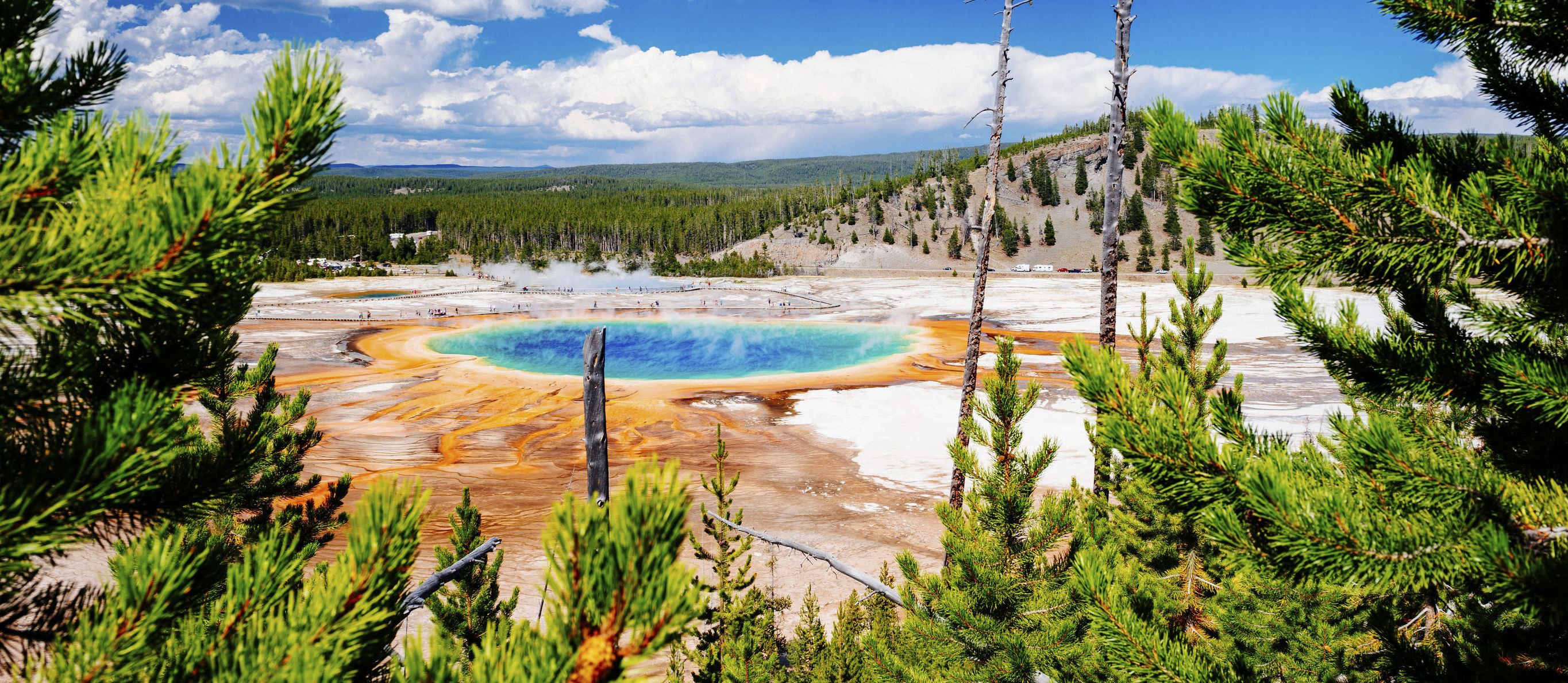 Yellowstone NP Amerika