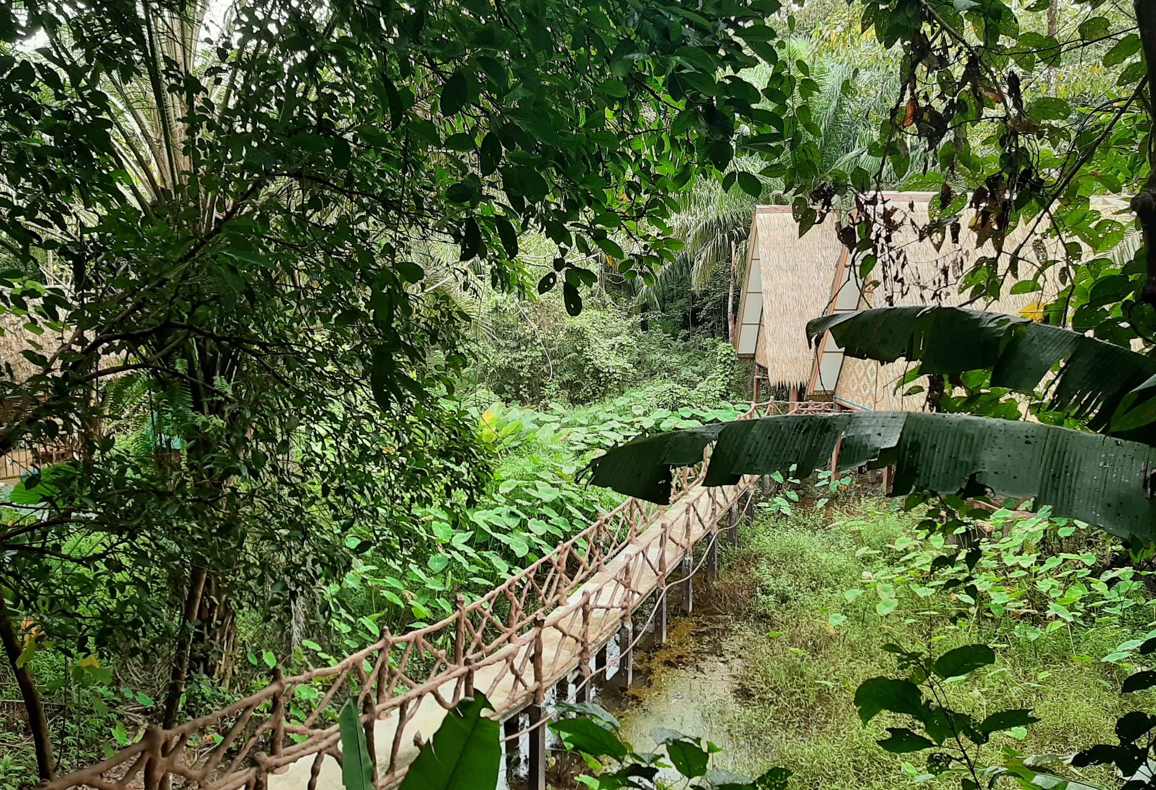 Thailand Khao Sok Paradise Resort A Frame Jungle House