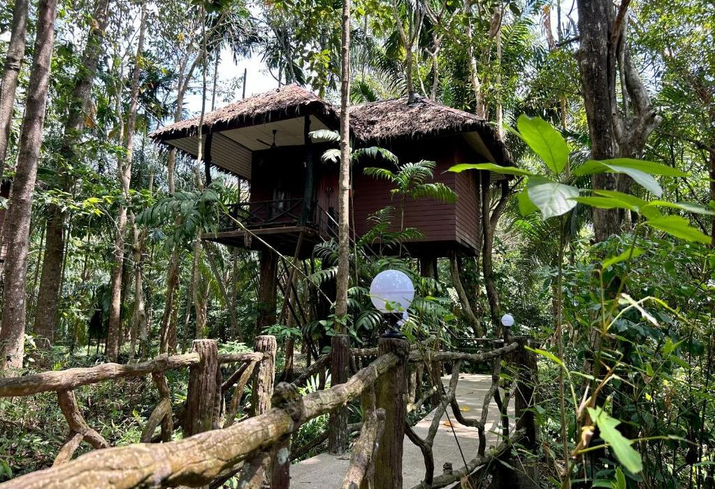 Thailand Khao Sok Paradise Resort Forest Tree House