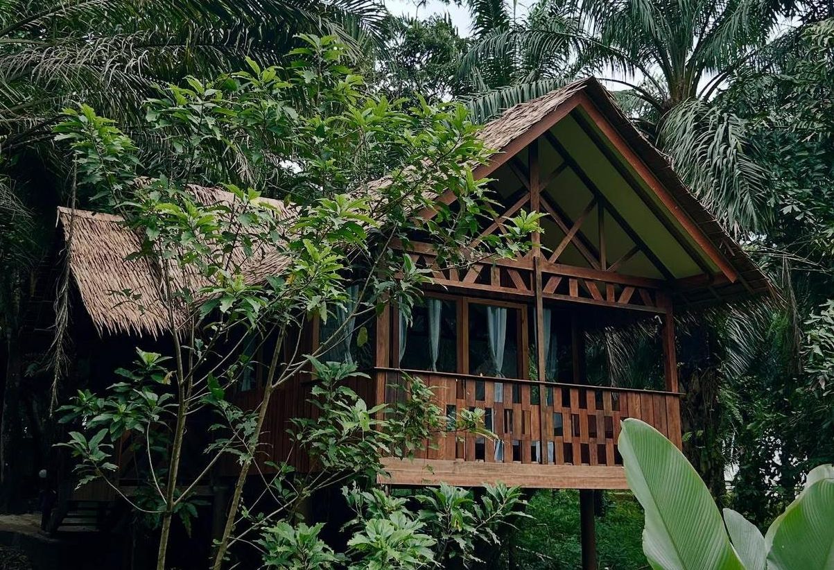 Thailand Khao Sok Paradise Resort Accommodatie