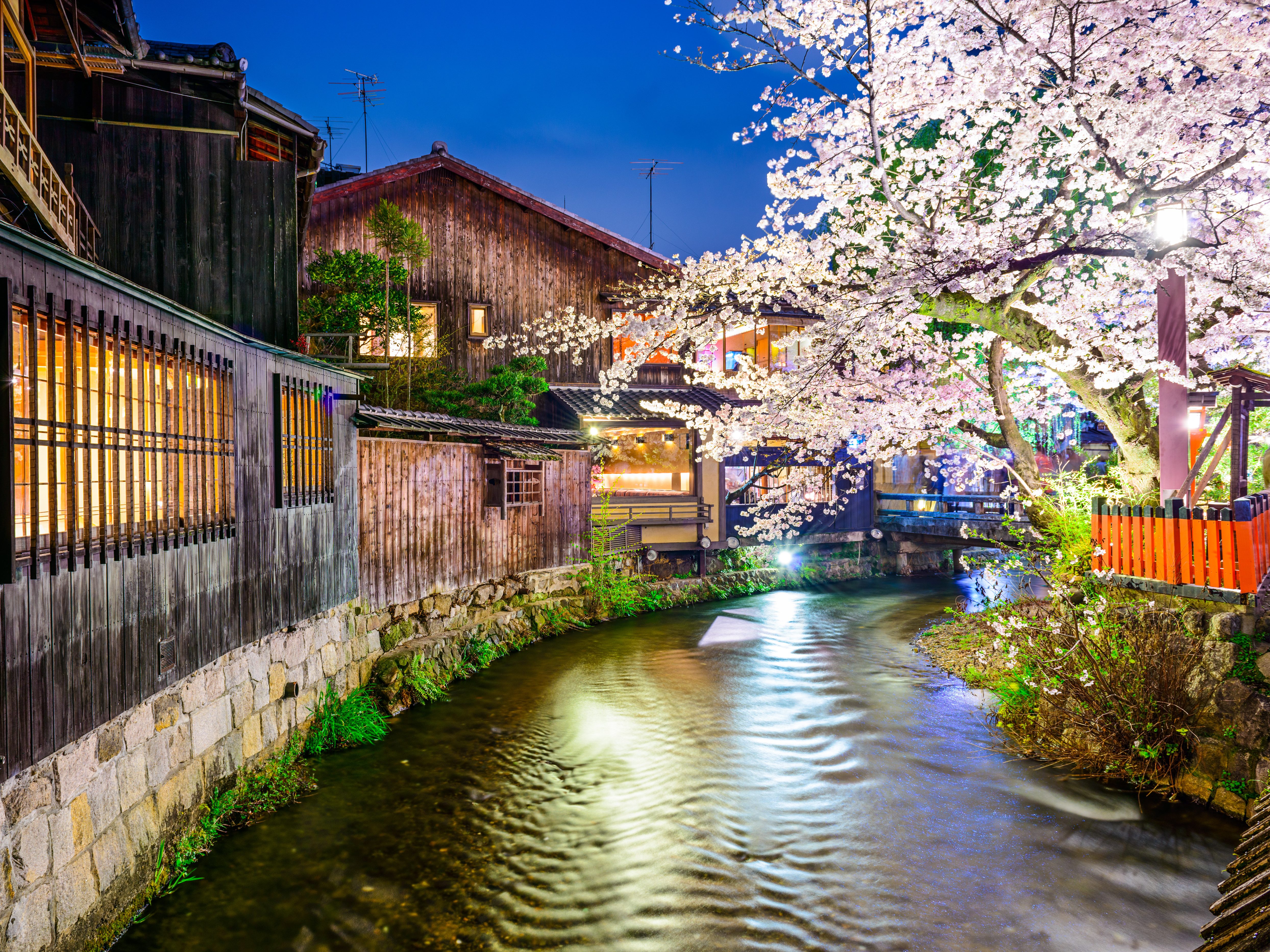 japanse-bloesem-kyoto-gion