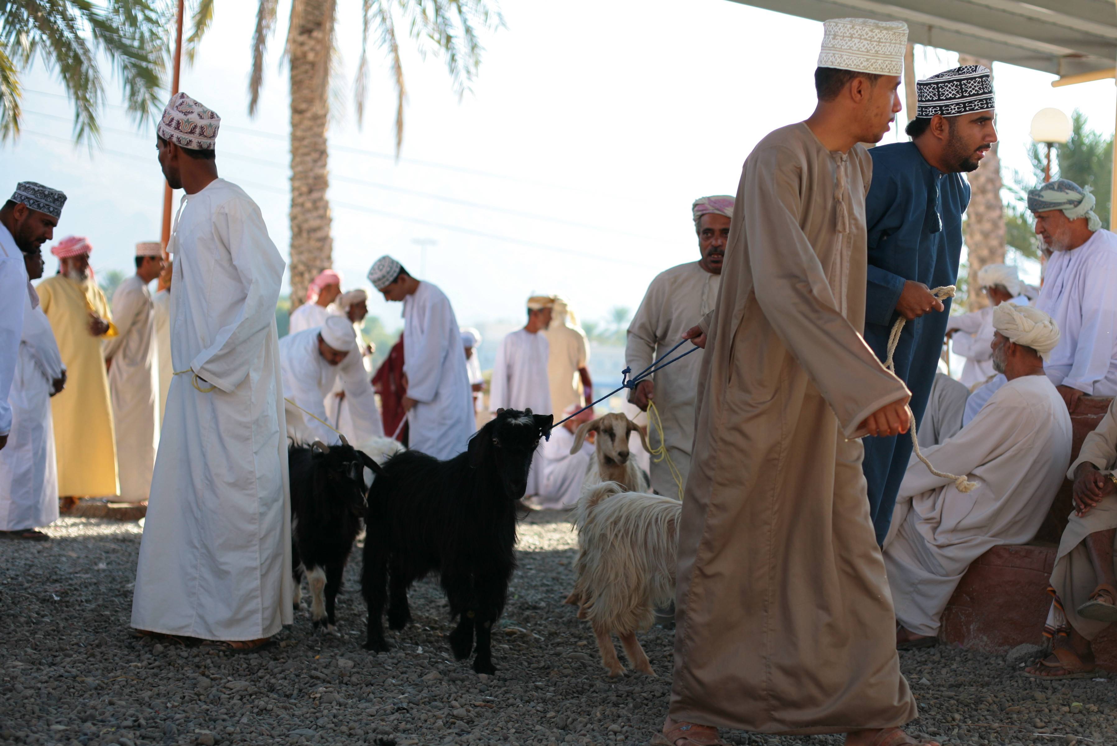 Geitenmarkt in Nizwa in Oman