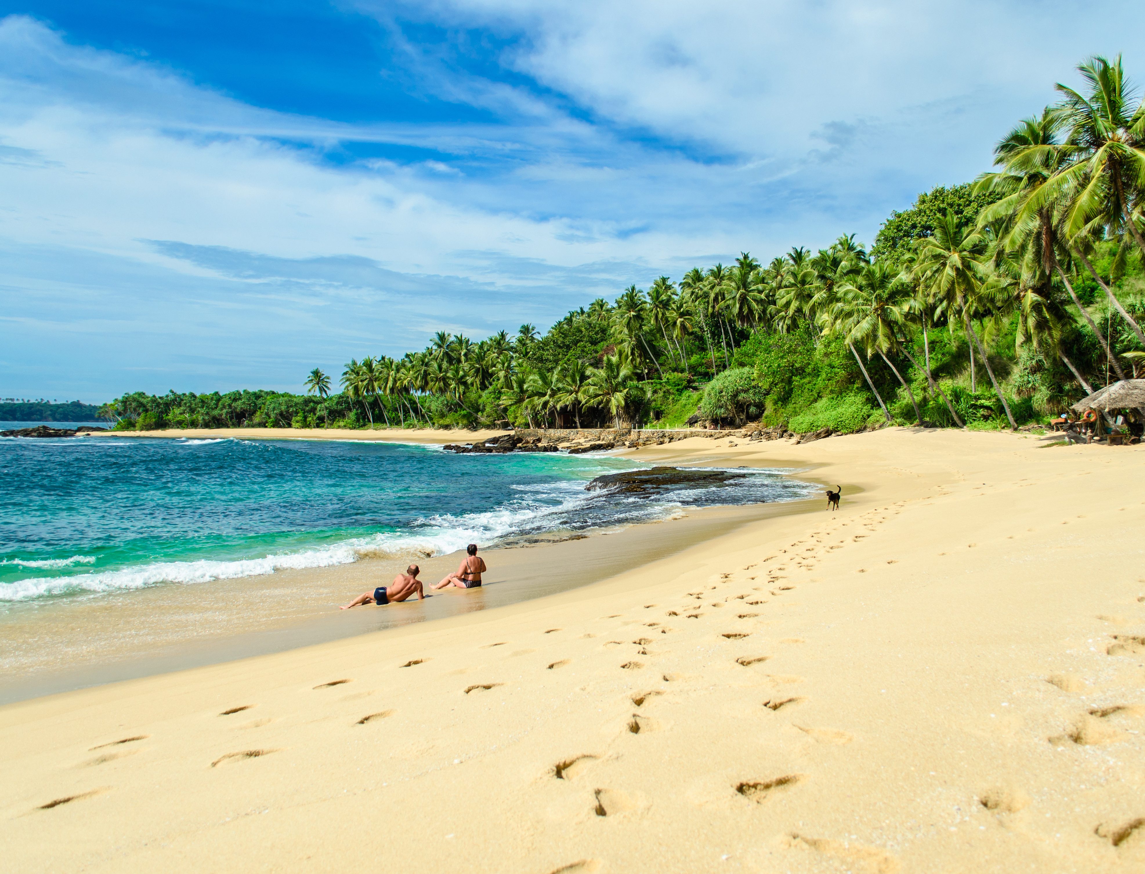Берег шри ланки. Пляж Тангалле Шри Ланка. Пляж Бентота Шри Ланка. Мирисса Шри Ланка. Вентура Бич Шри Ланка.