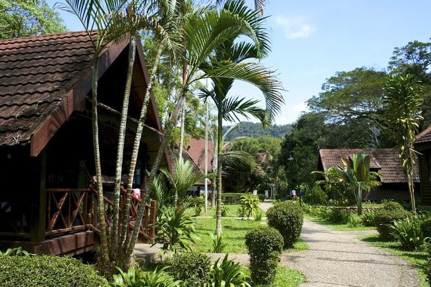 Mutiara Taman Negara chalets in West-Maleisië