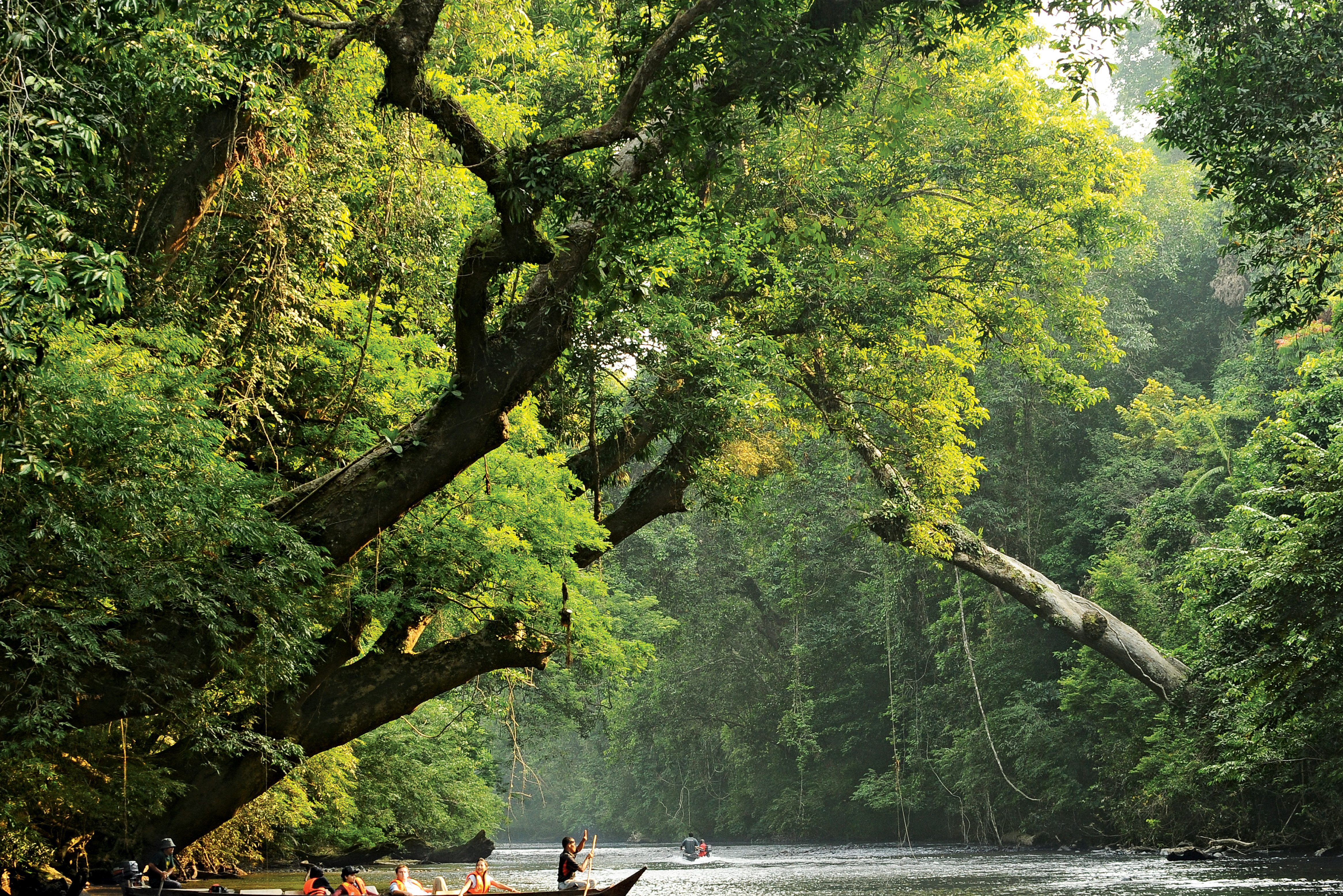 Boottocht naar Lata Berkoh bij Taman Negara in West-Maleisië