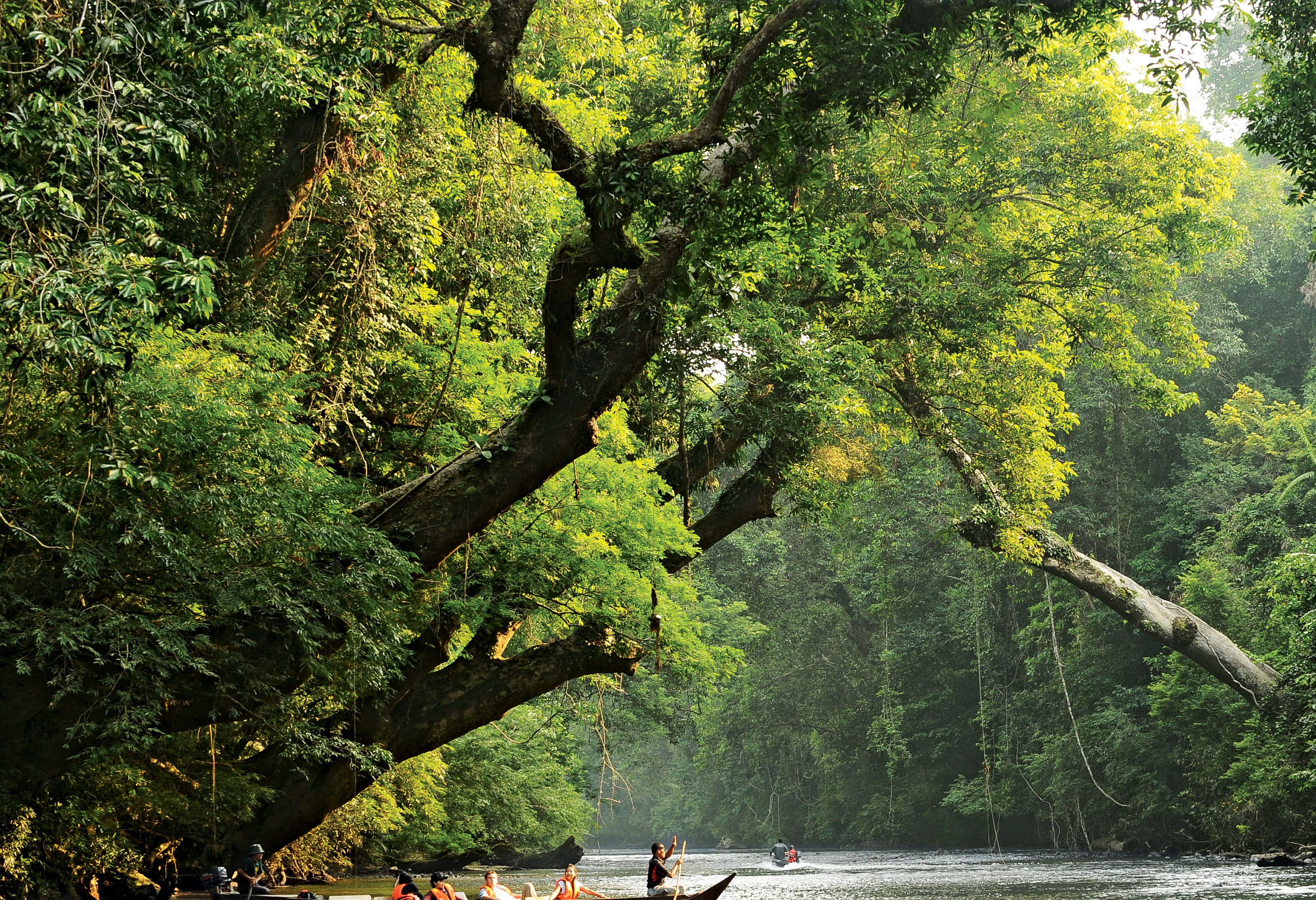 Boottocht naar Lata Berkoh bij Taman Negara nationaal park in West-Maleisië