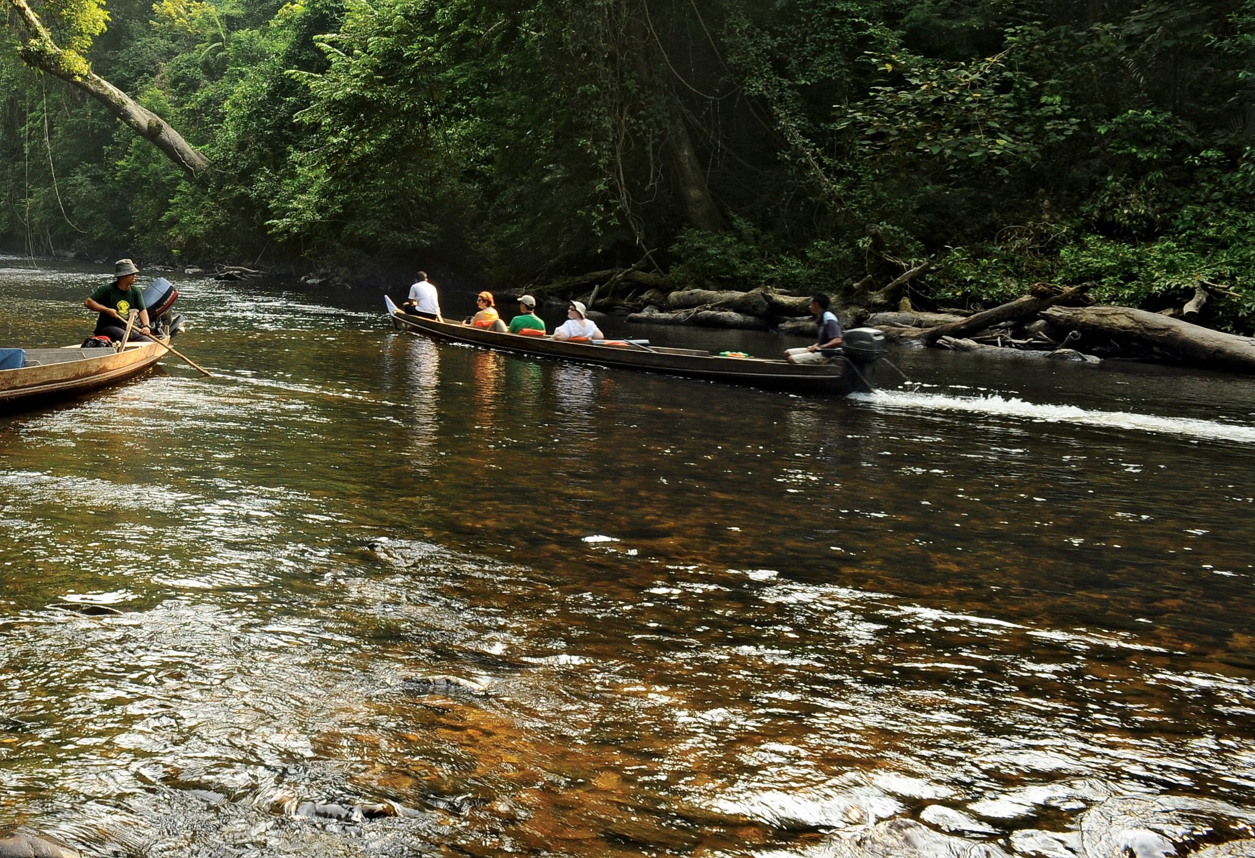 Boottochtje naar Lata Berkoh in Taman Negara nationaal park in West-Maleisië