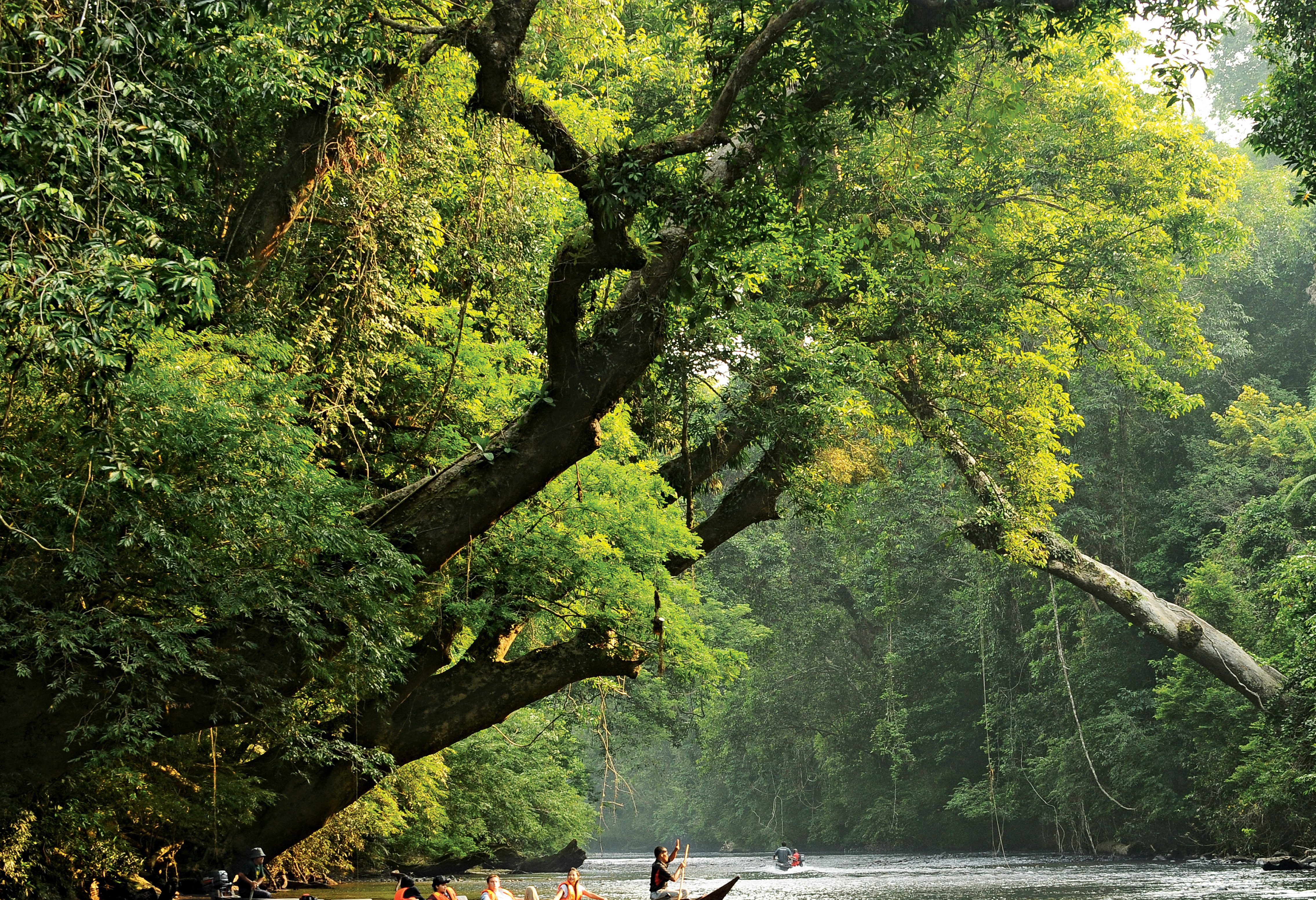 Boottochtje naar Laka Berkoh in Taman Negara National Park in West-Maleisië