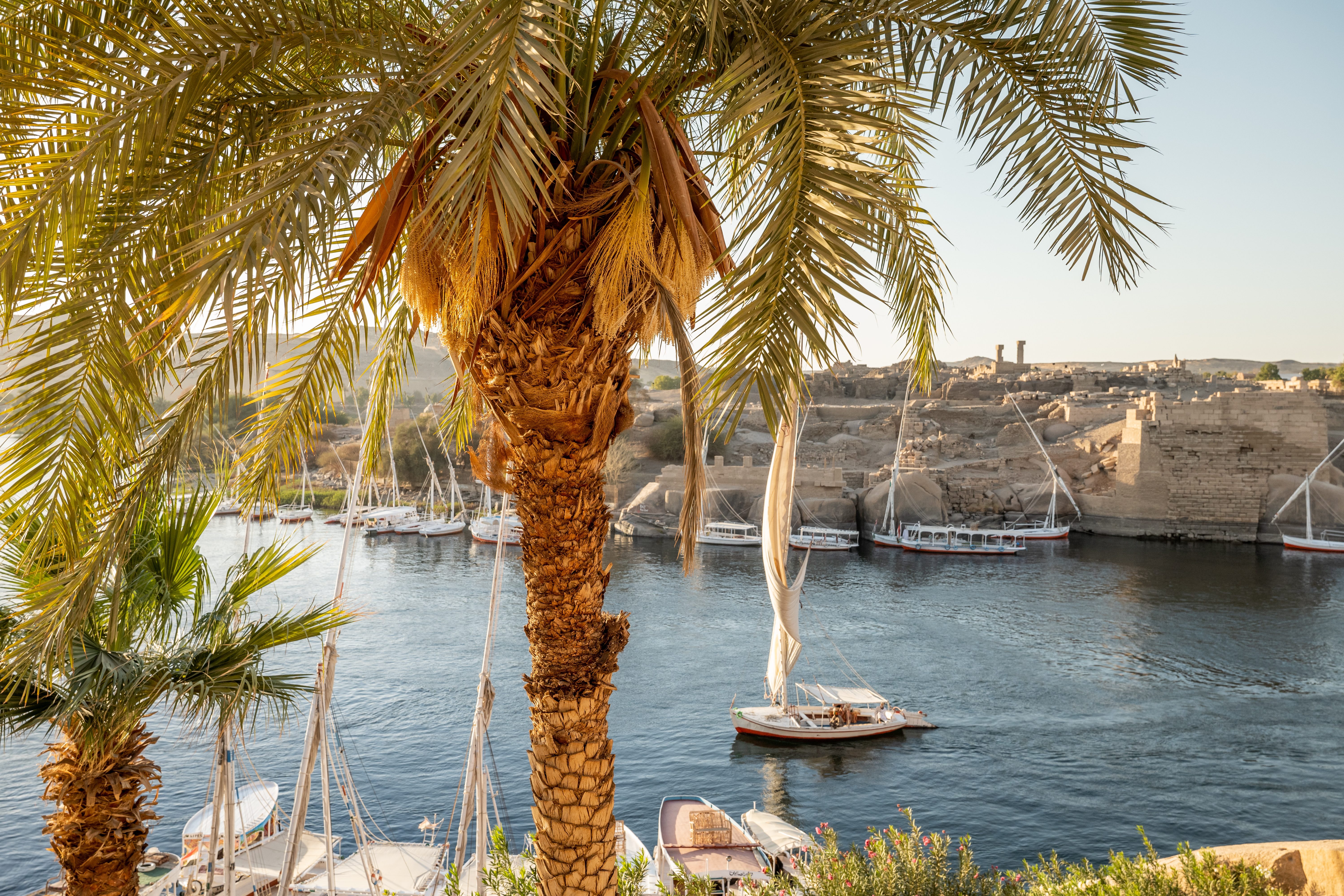 Felucca's op de Nijl bij Aswan in Egypte