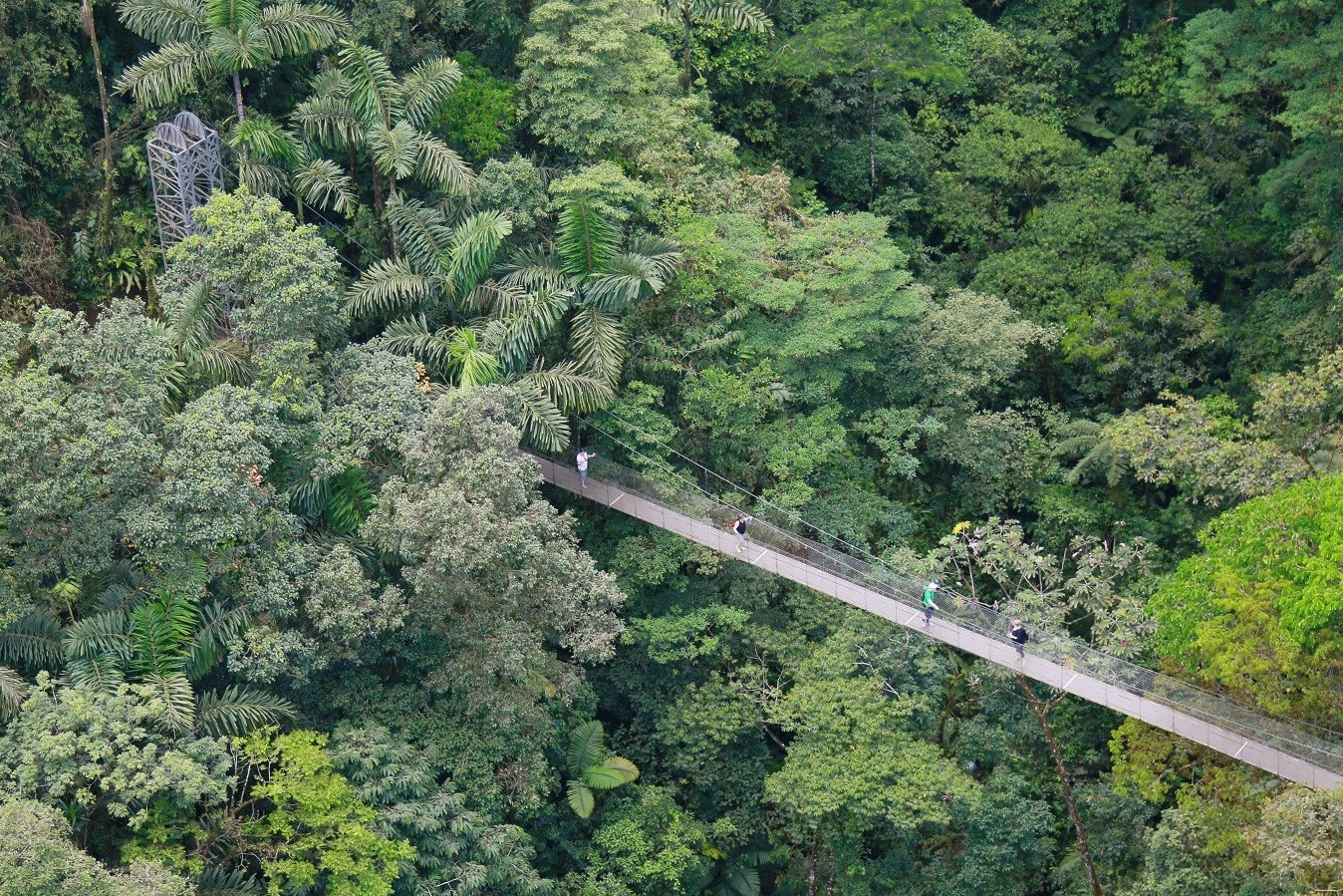 Hangbruggen bij La Fortuna in Costa Rica