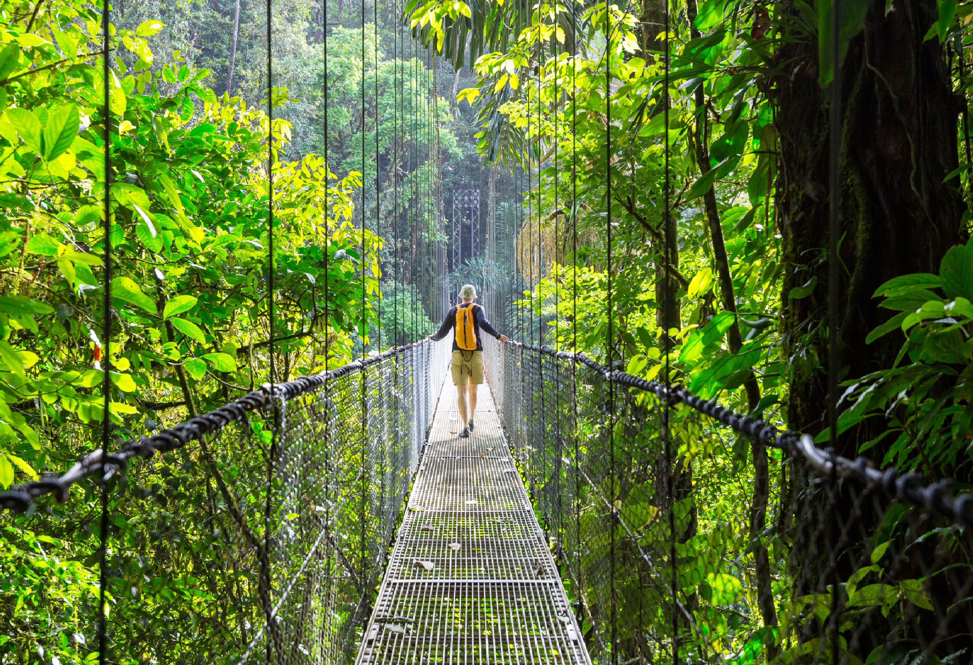 Hangbrug bij Arenal in Costa Rica