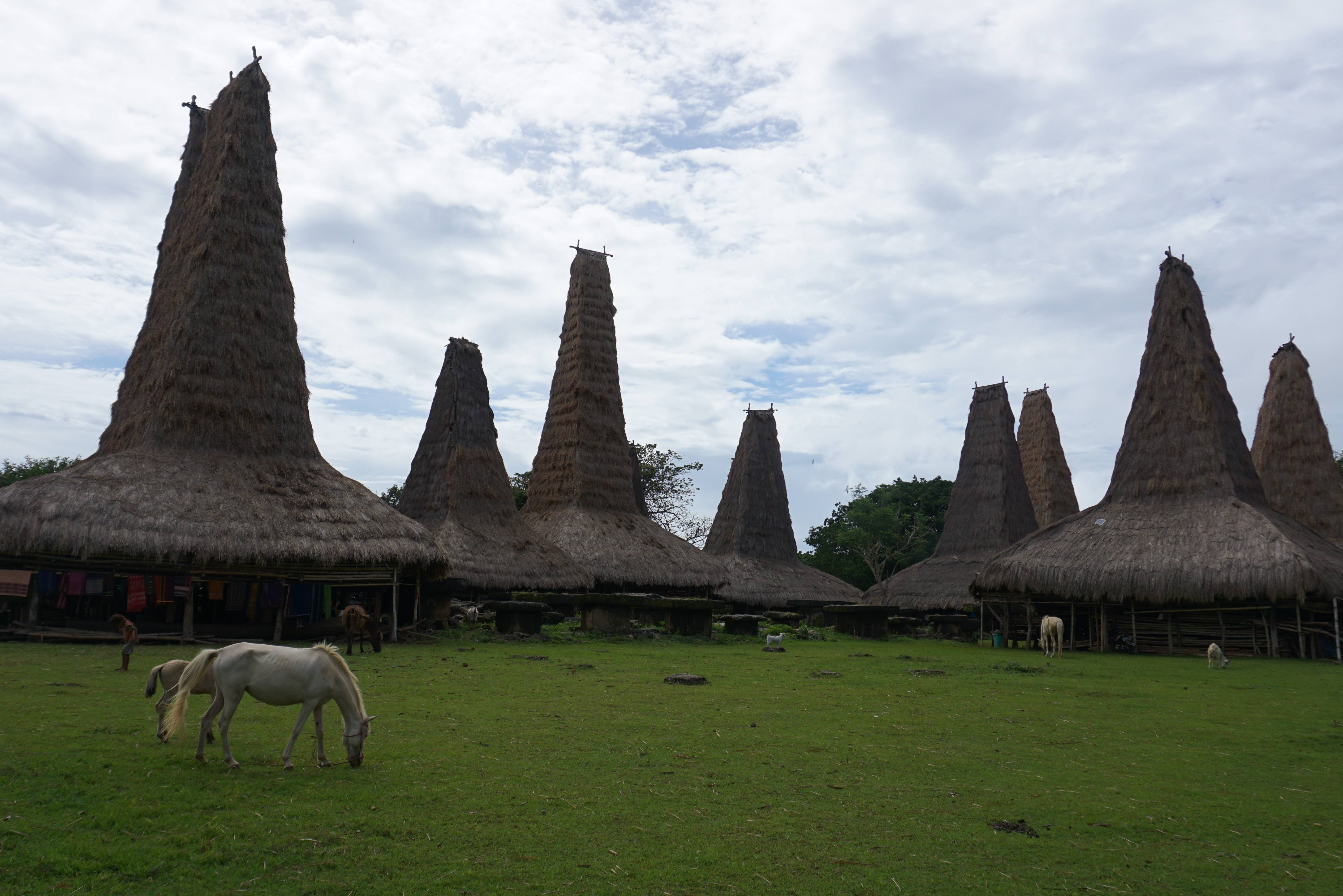 Indonesie-Sumba-Ratenggaro-Village-2