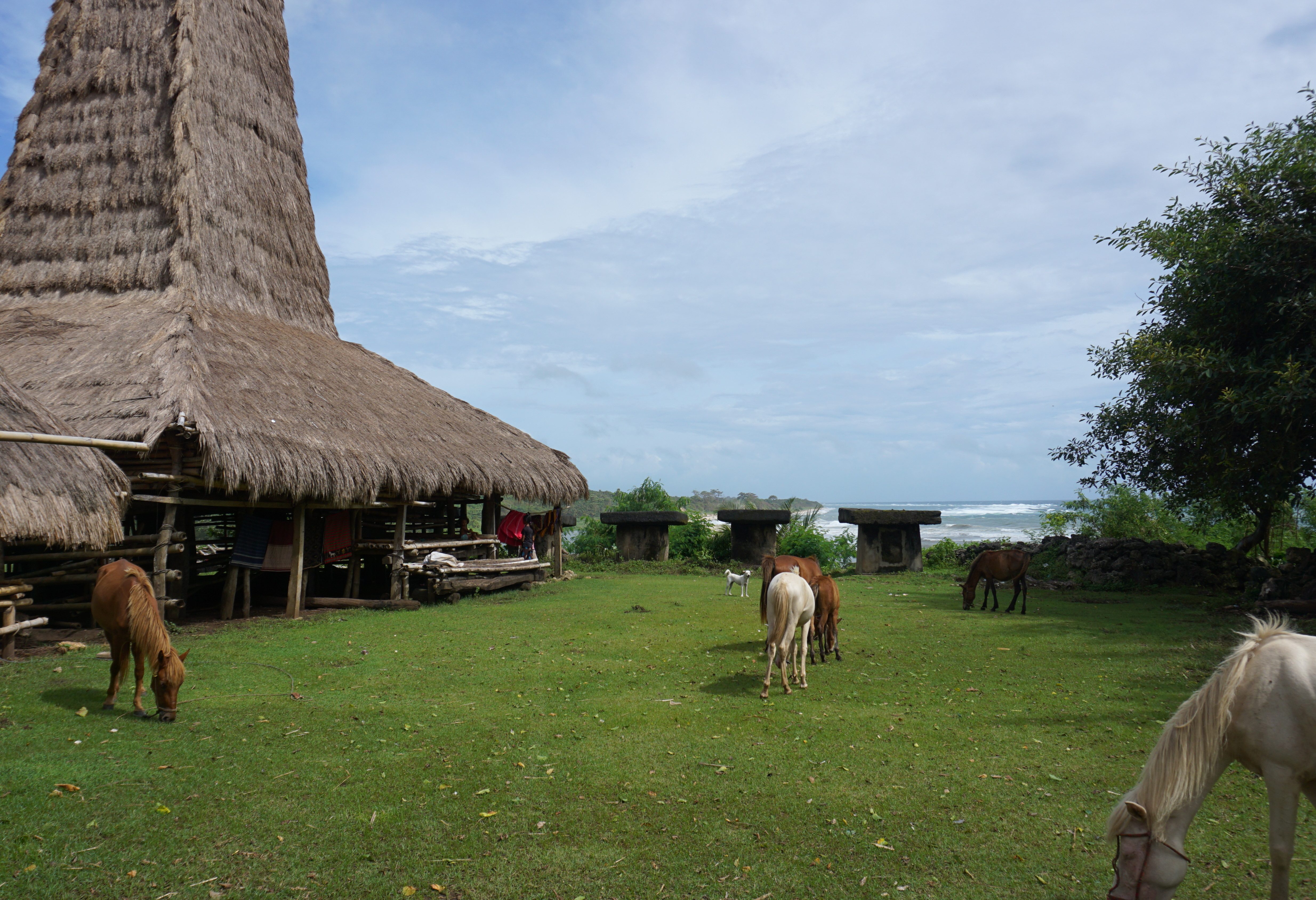Het dorp Ratenggaro op Sumba in Indonesie