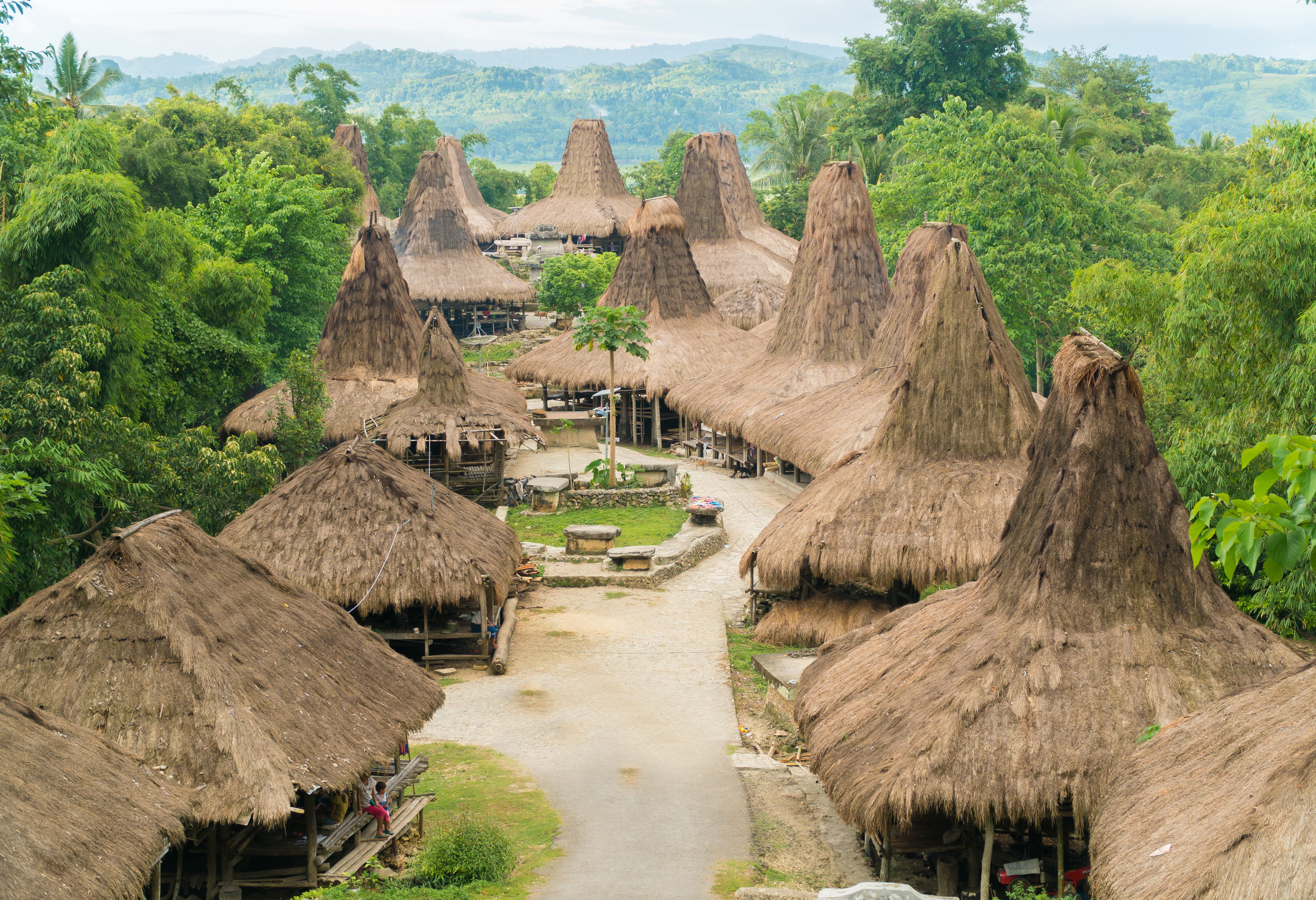Het dorp Praijing op Sumba in Indonesie