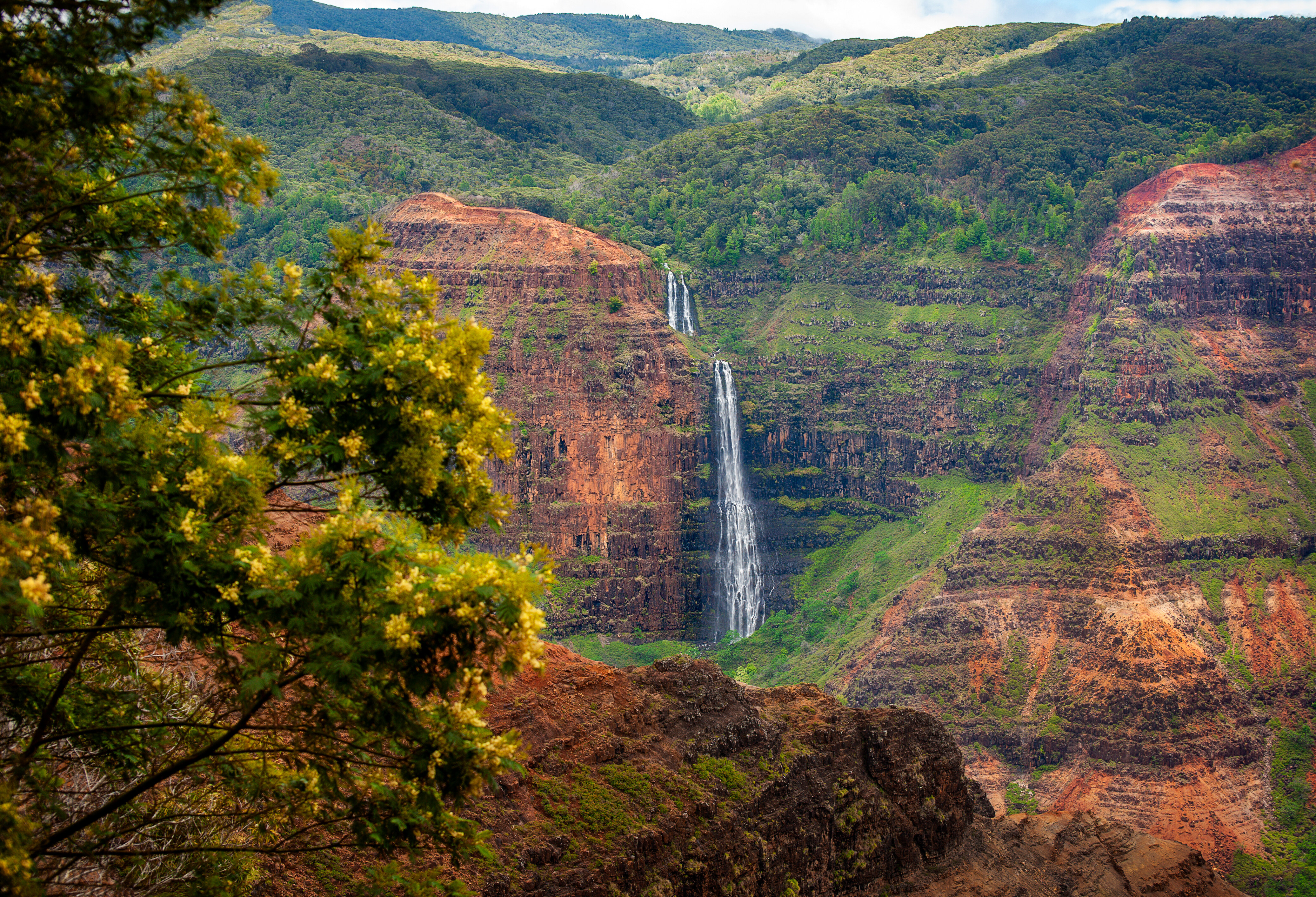 Waimea Canyon