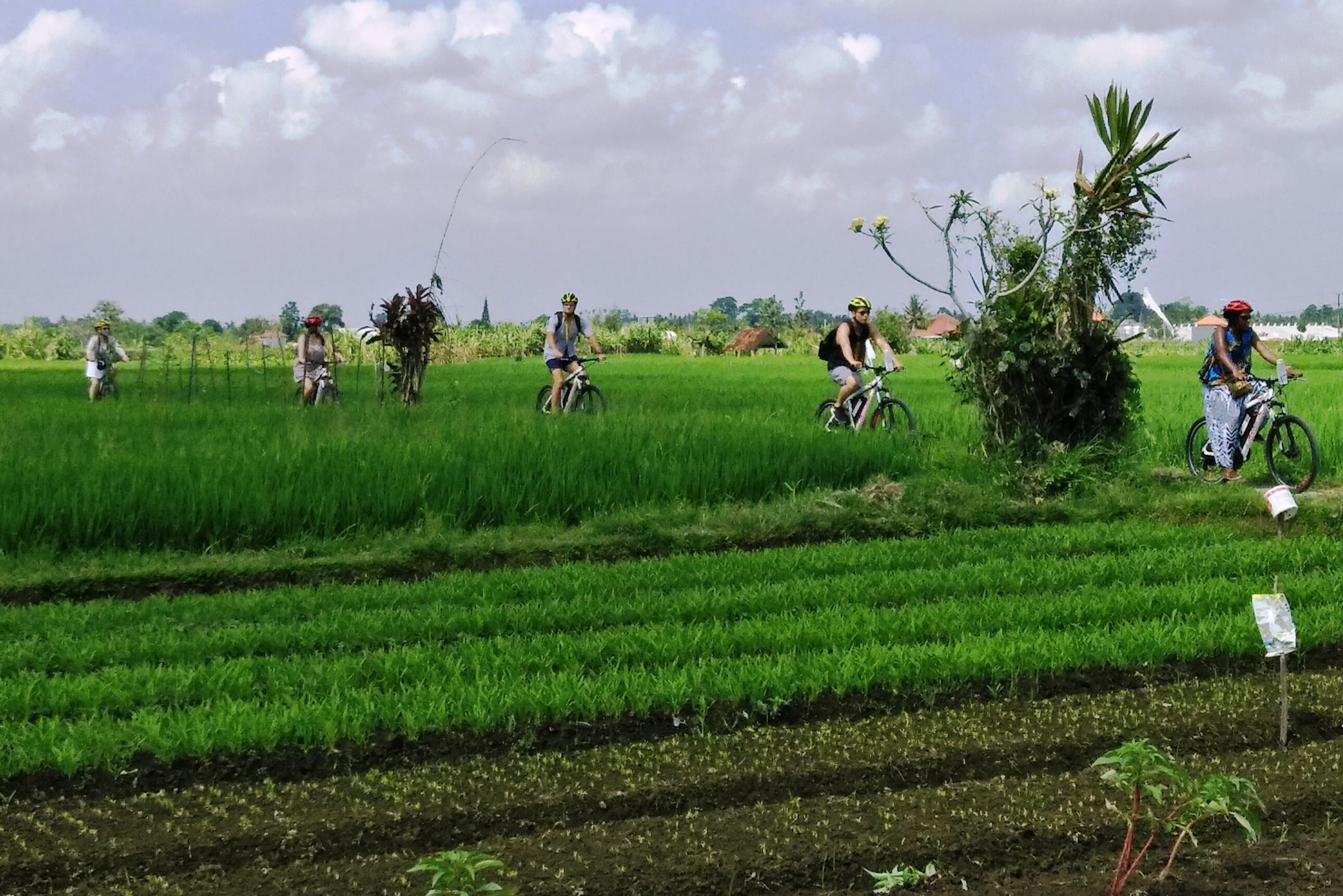 Het platteland van omgeving Ubud per e-bike op Bali