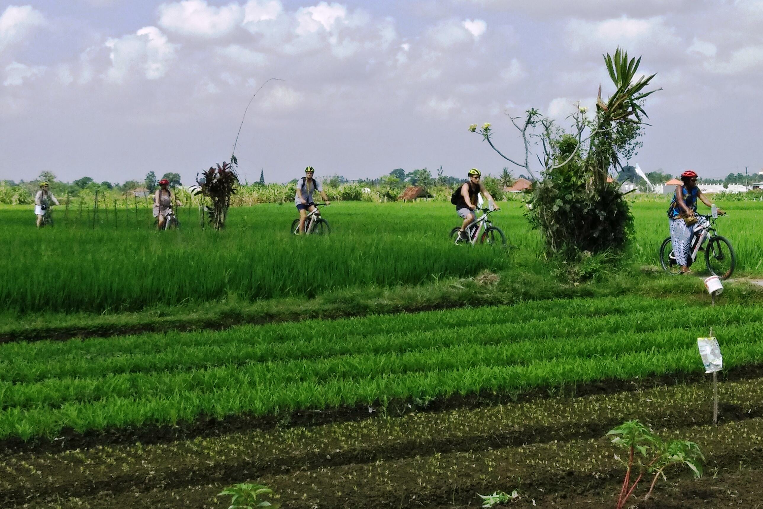Fietstour per e-bike op Bali