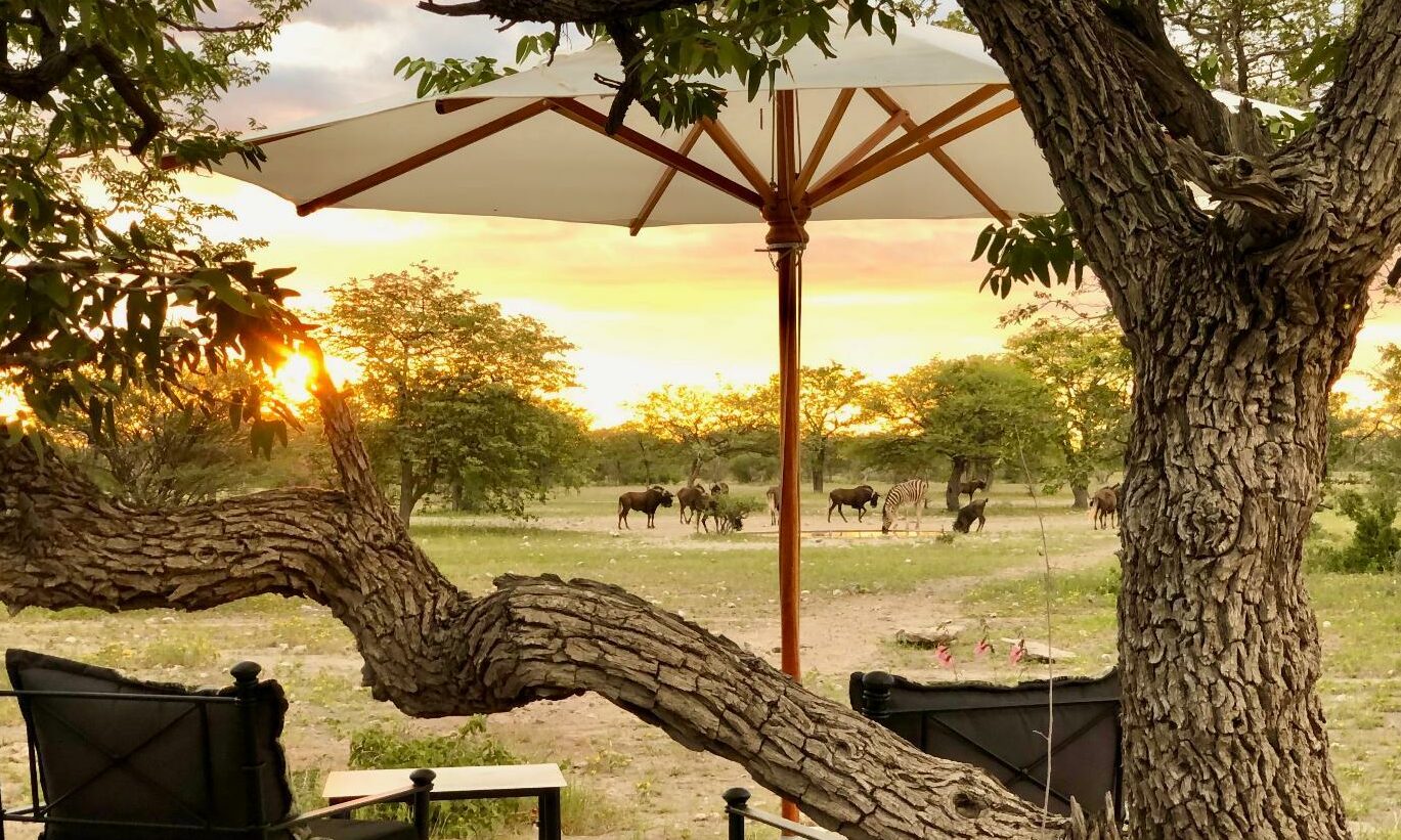 Etosha Oberland