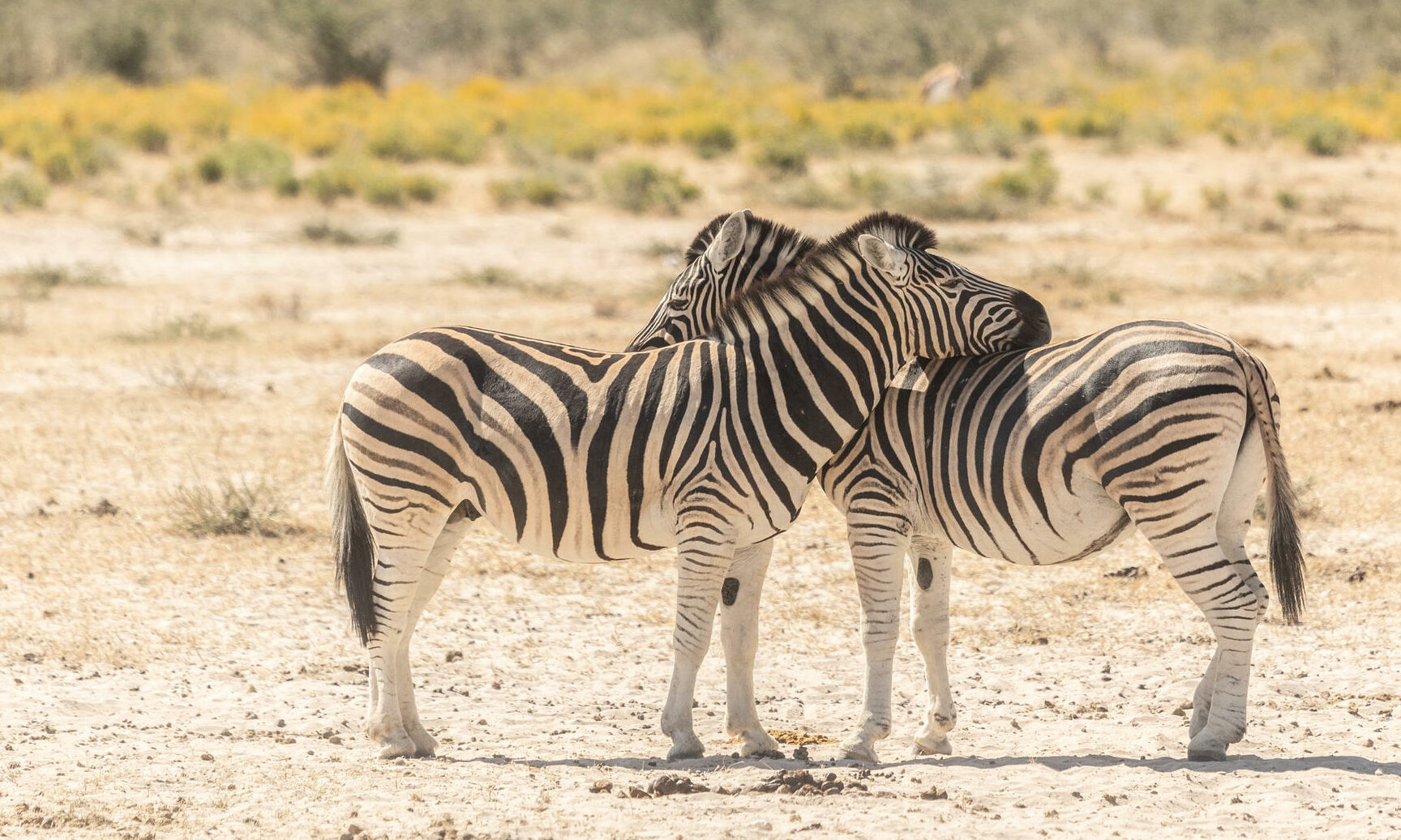 Etosha Oberland