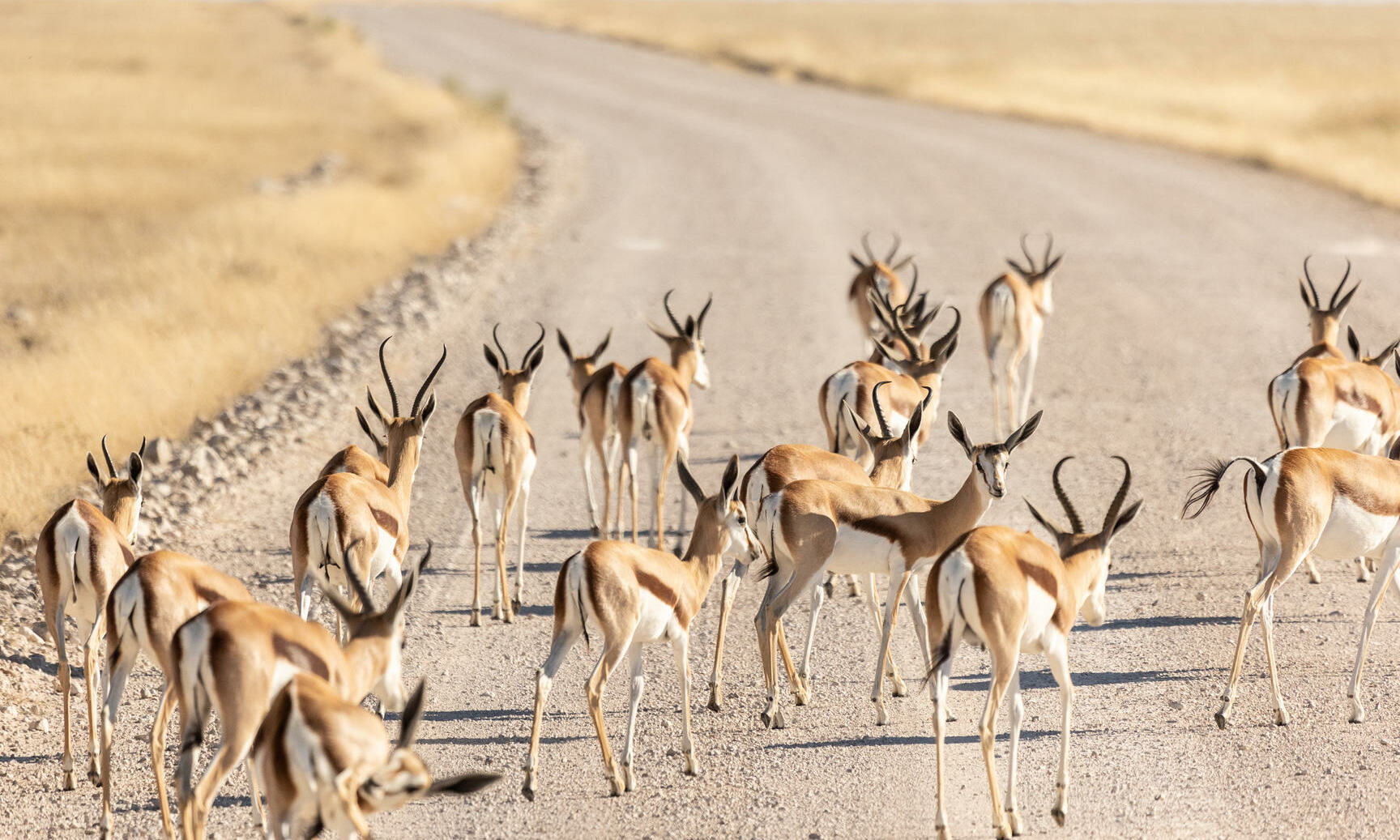 Etosha Oberland