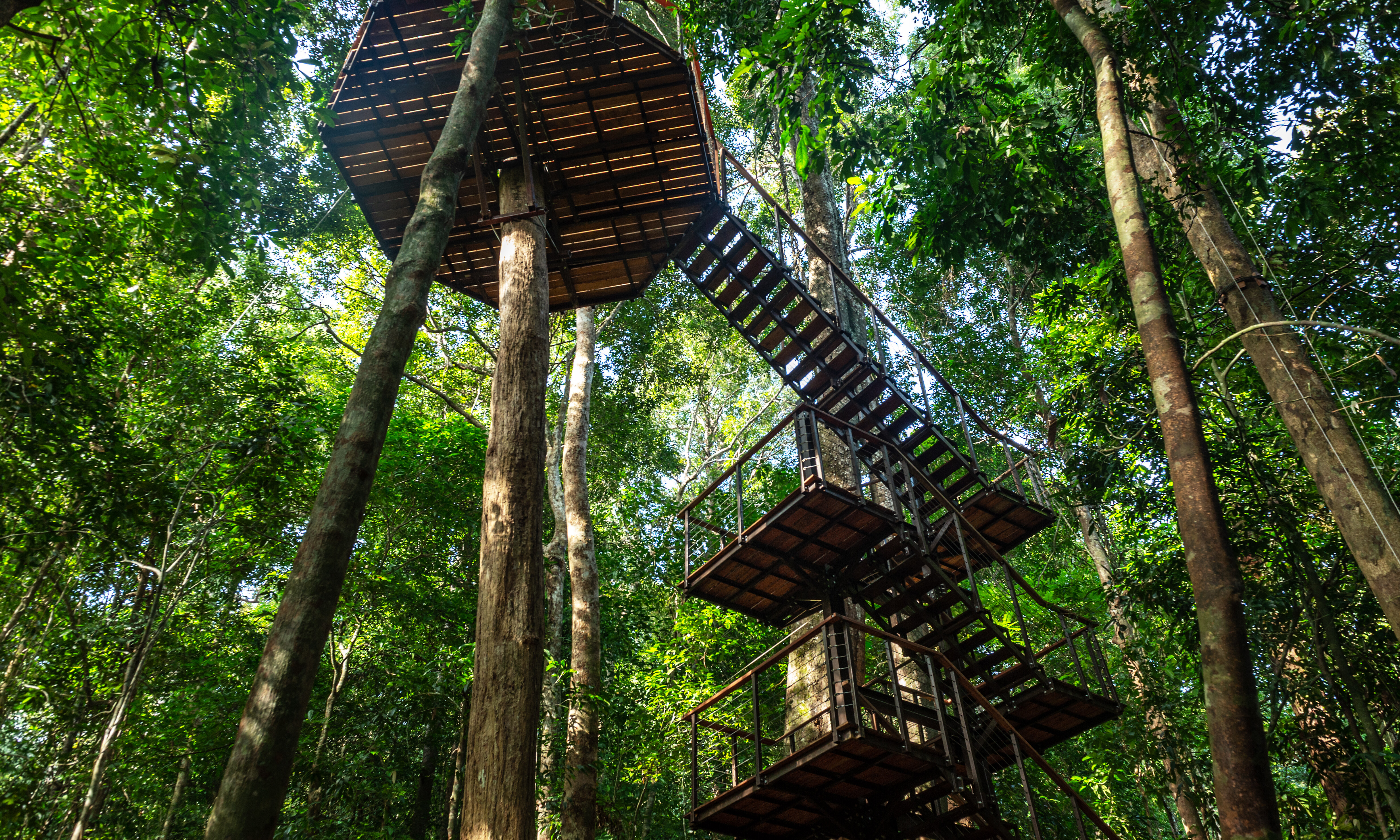 The Datai Langkawi Maleisie Canopy Walk