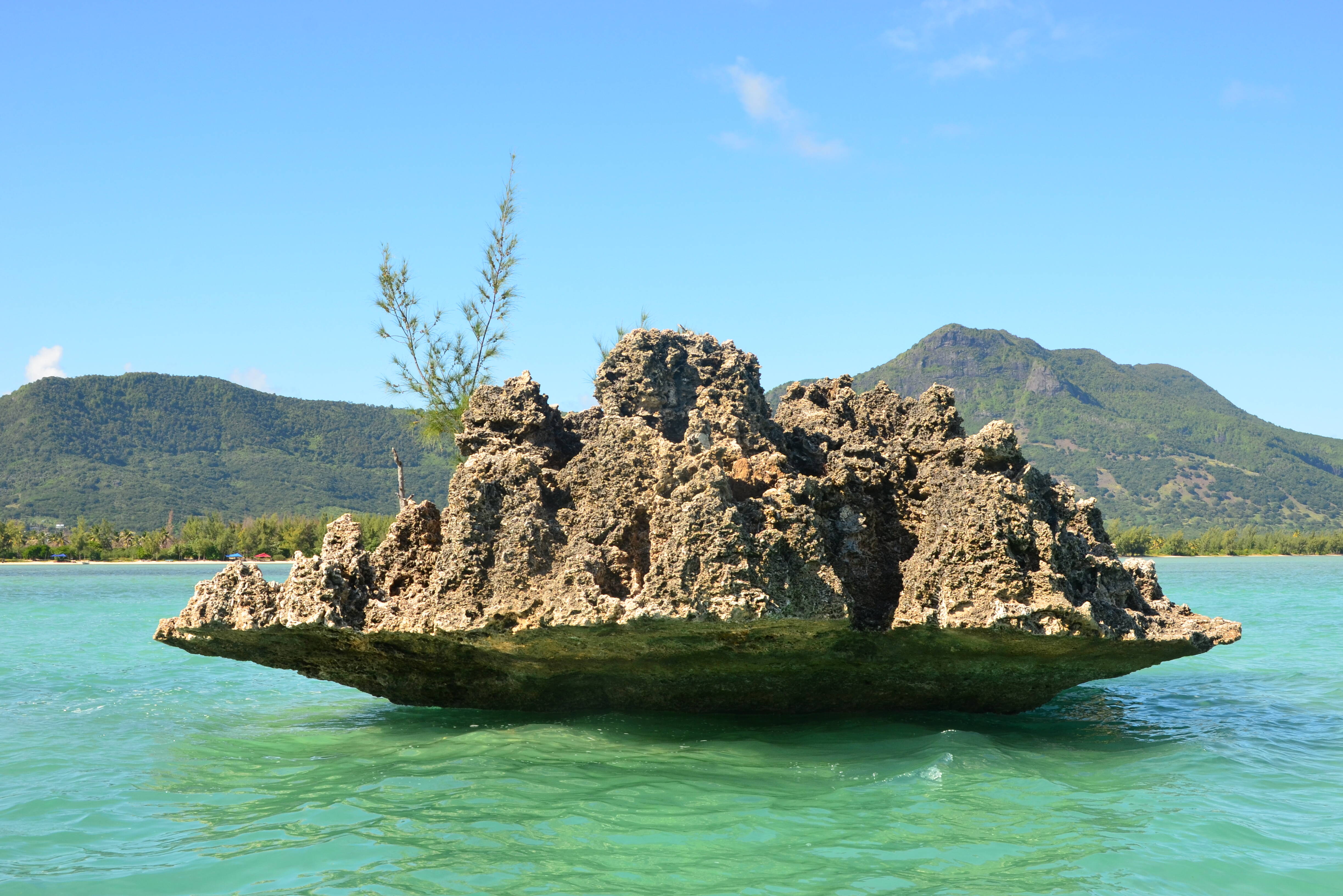 Rots in zee Mauritius