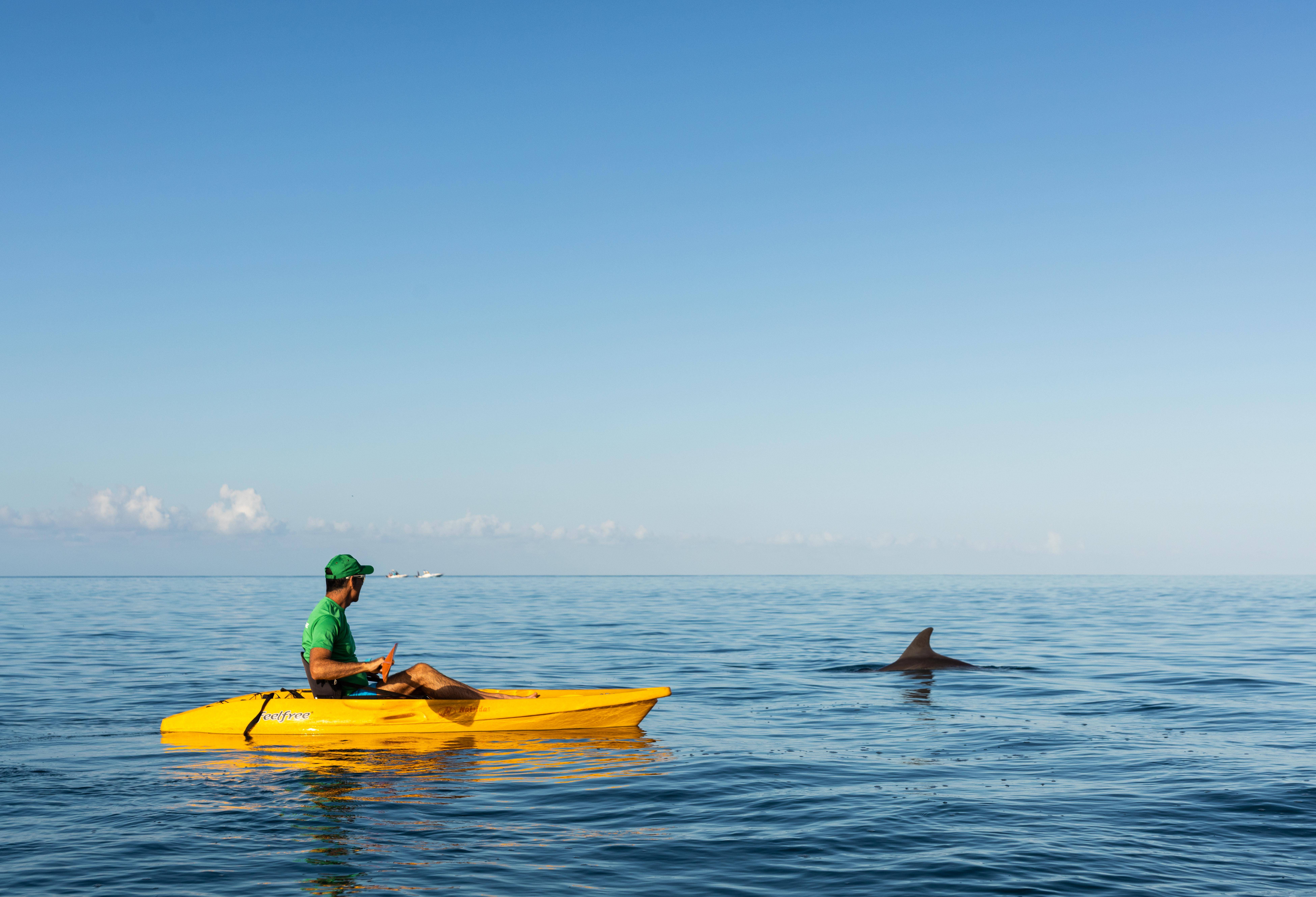 Kajakken met dolfijnen in Mauritius