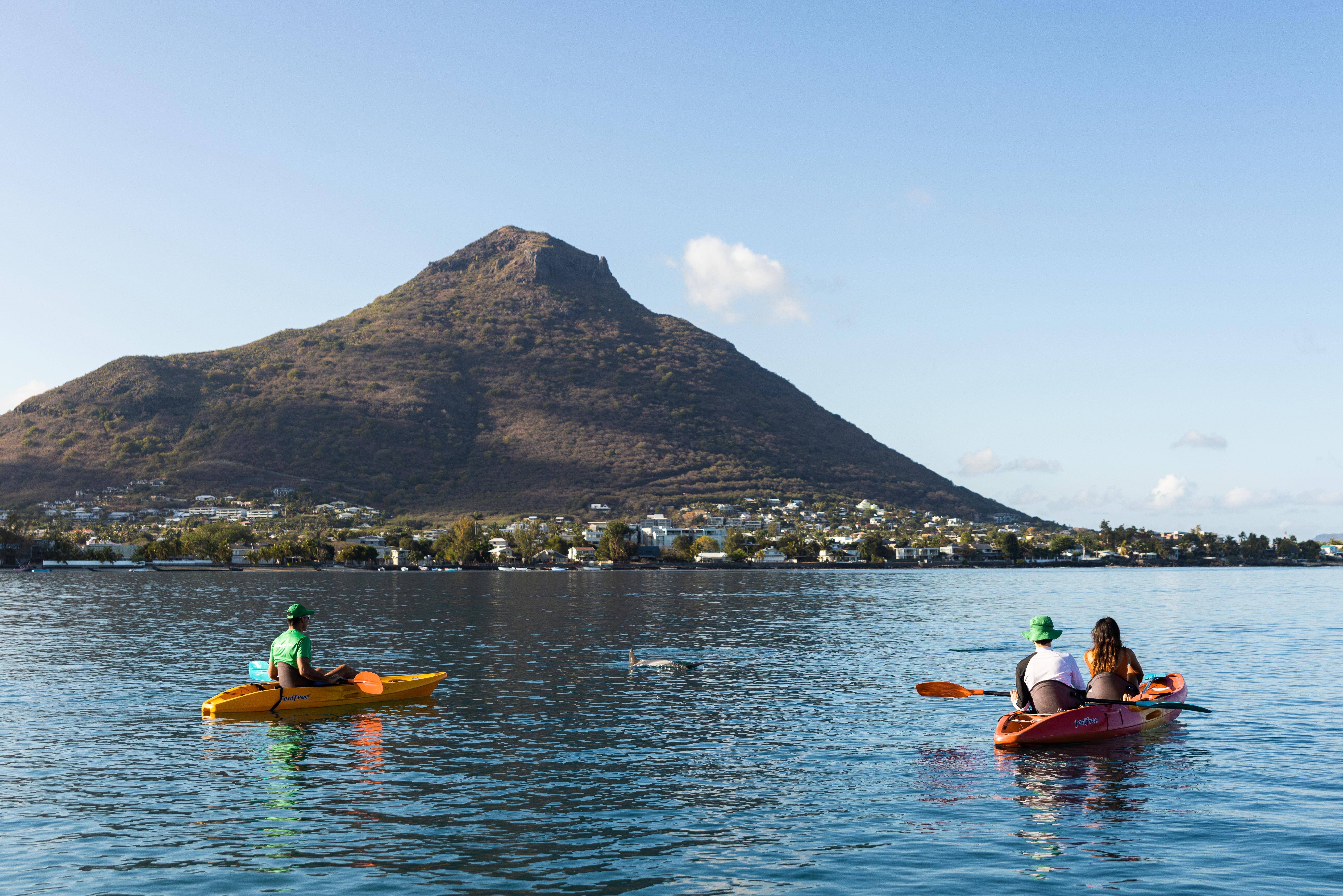 Dolfijnen spotten vanuit de Kajak in Mauritius