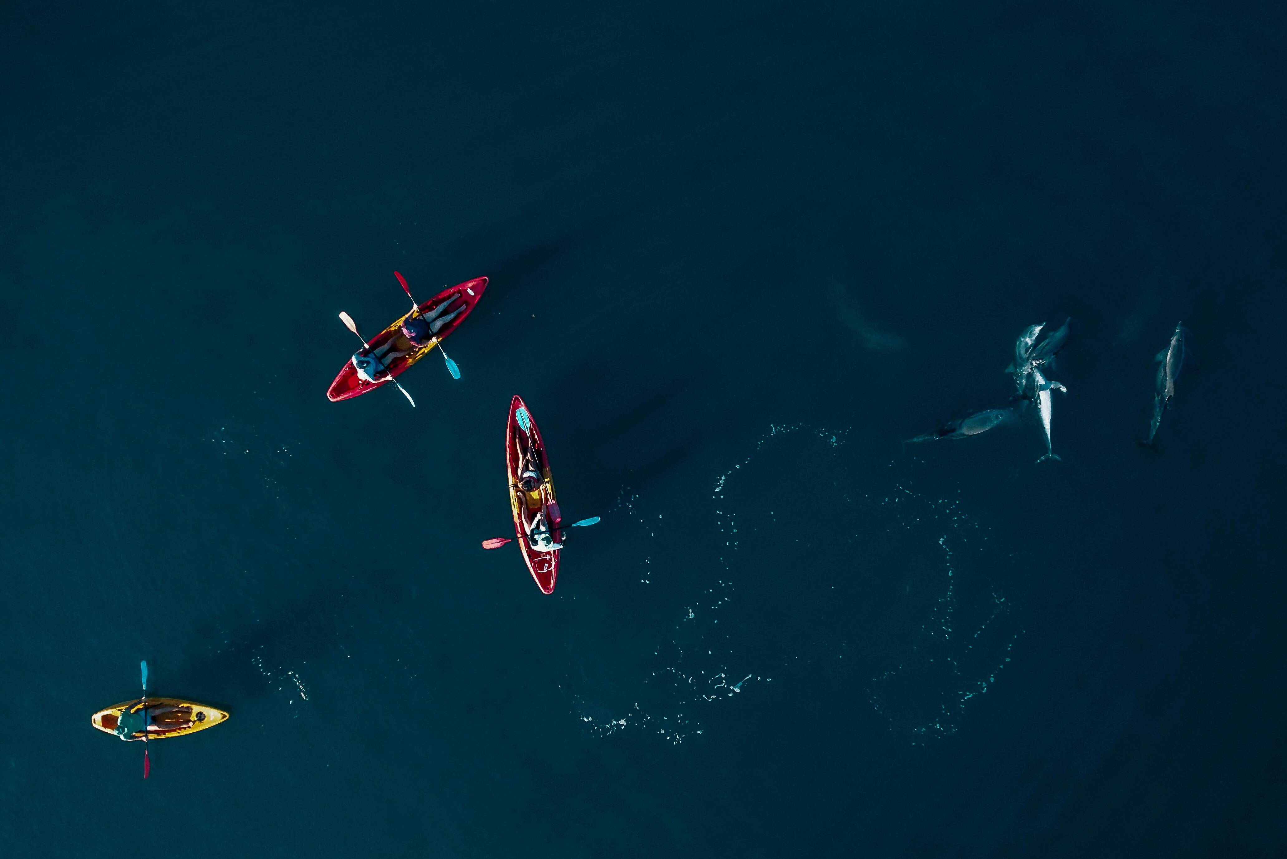 Luchtfoto met Kajakken en dolfijnen Mauritius