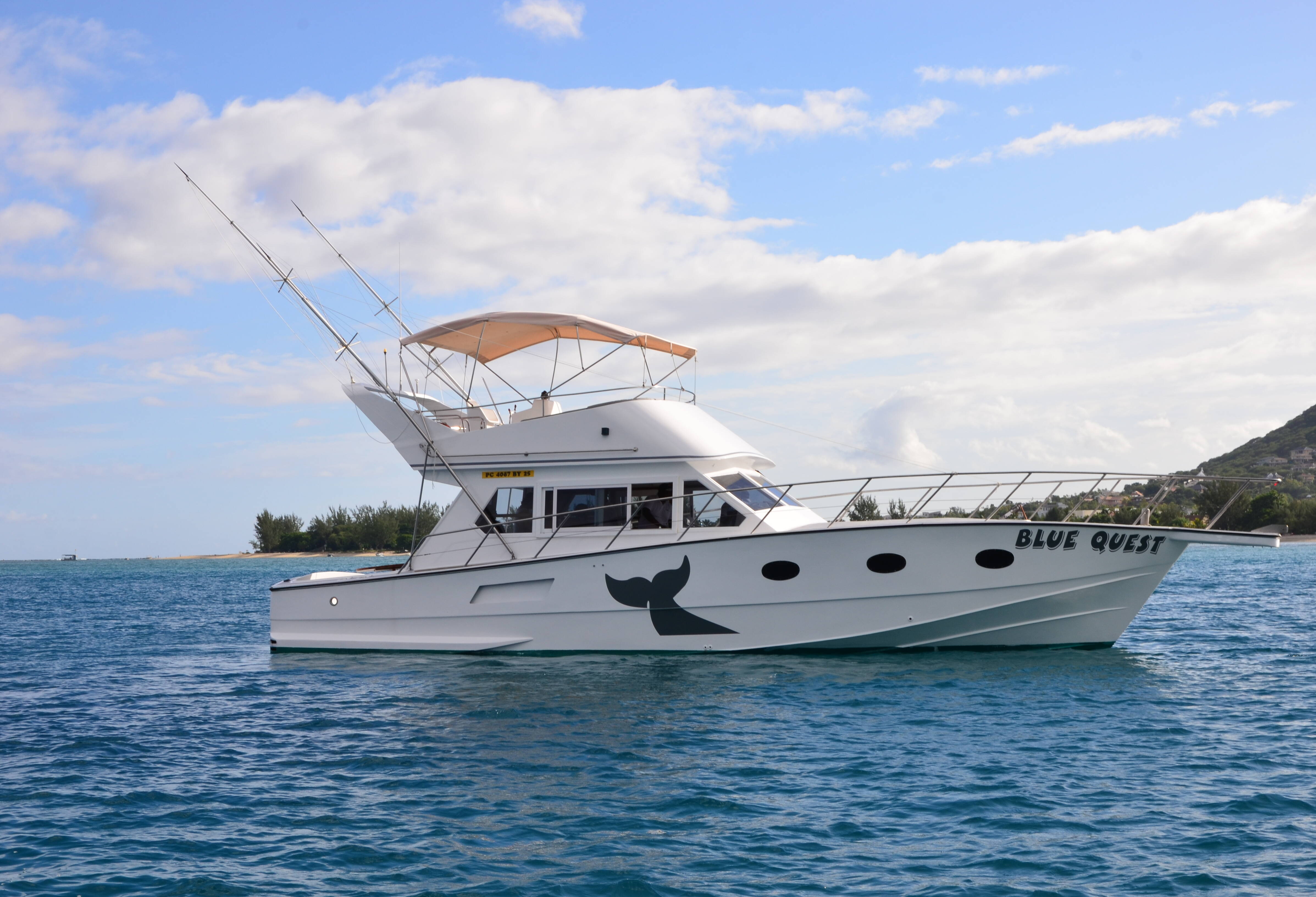 Boot Walvissen en dolfijnen Mauritius