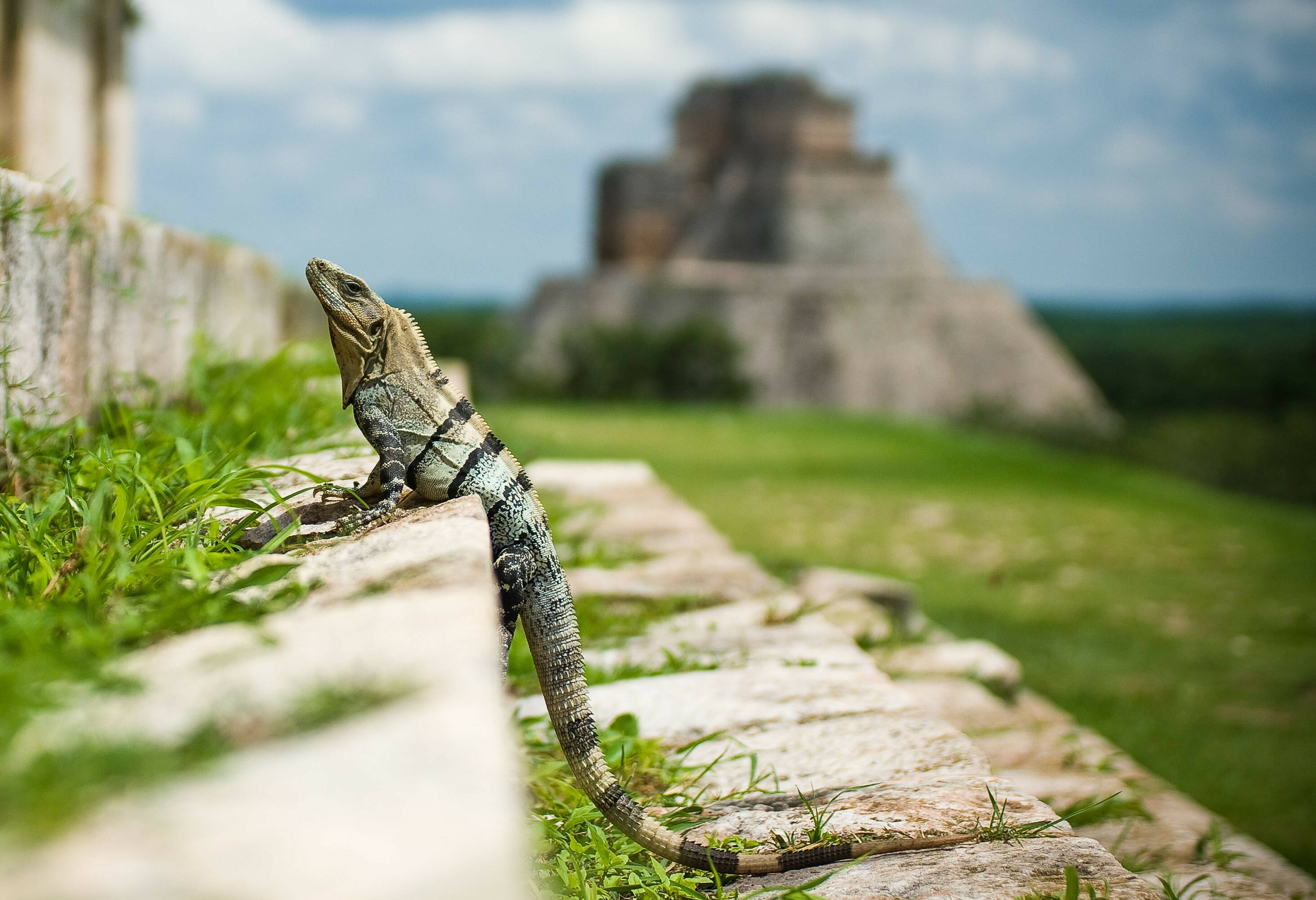 Mexico Ucmal Maya Tempel