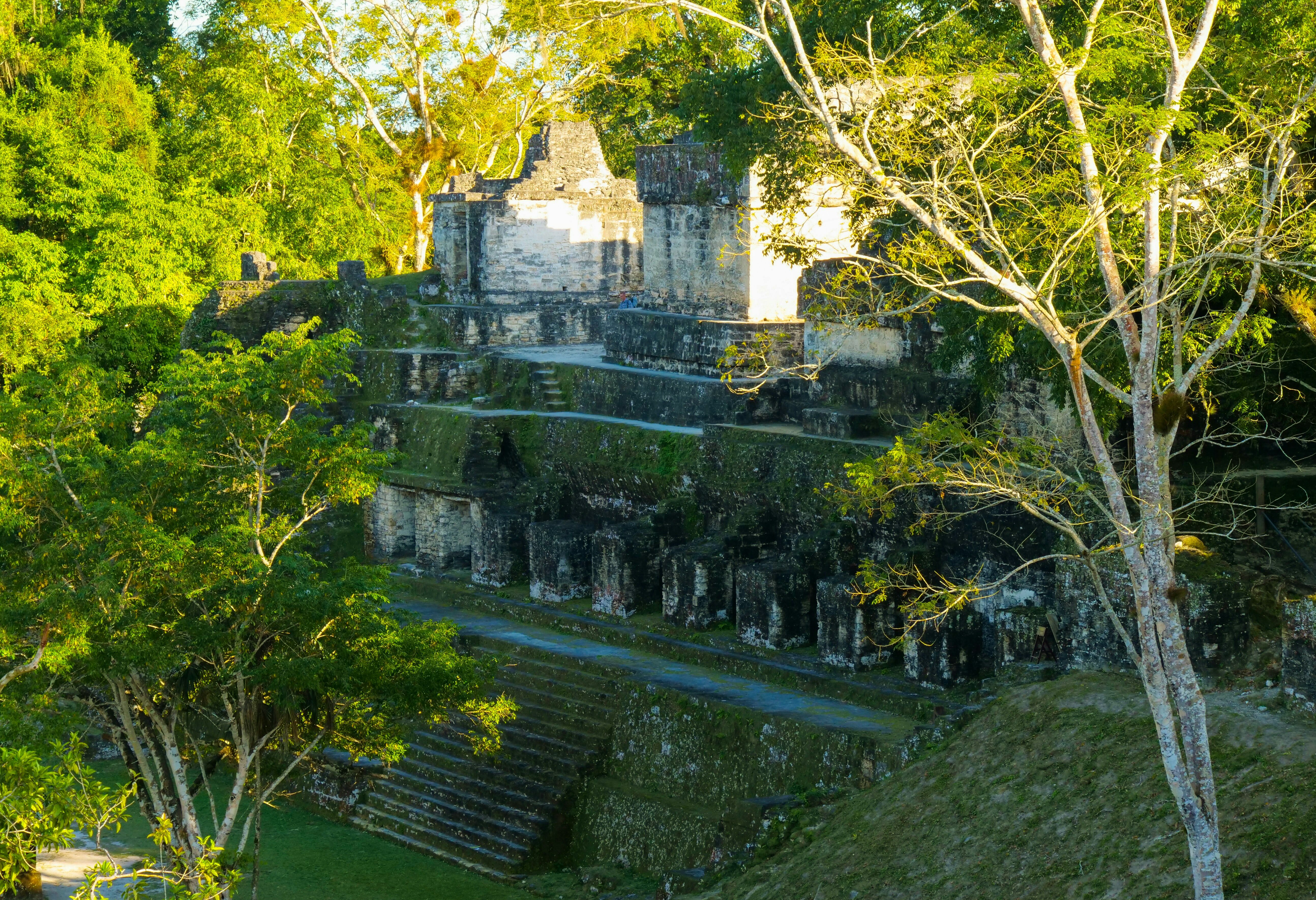 Guatemala Tikal Omgeving