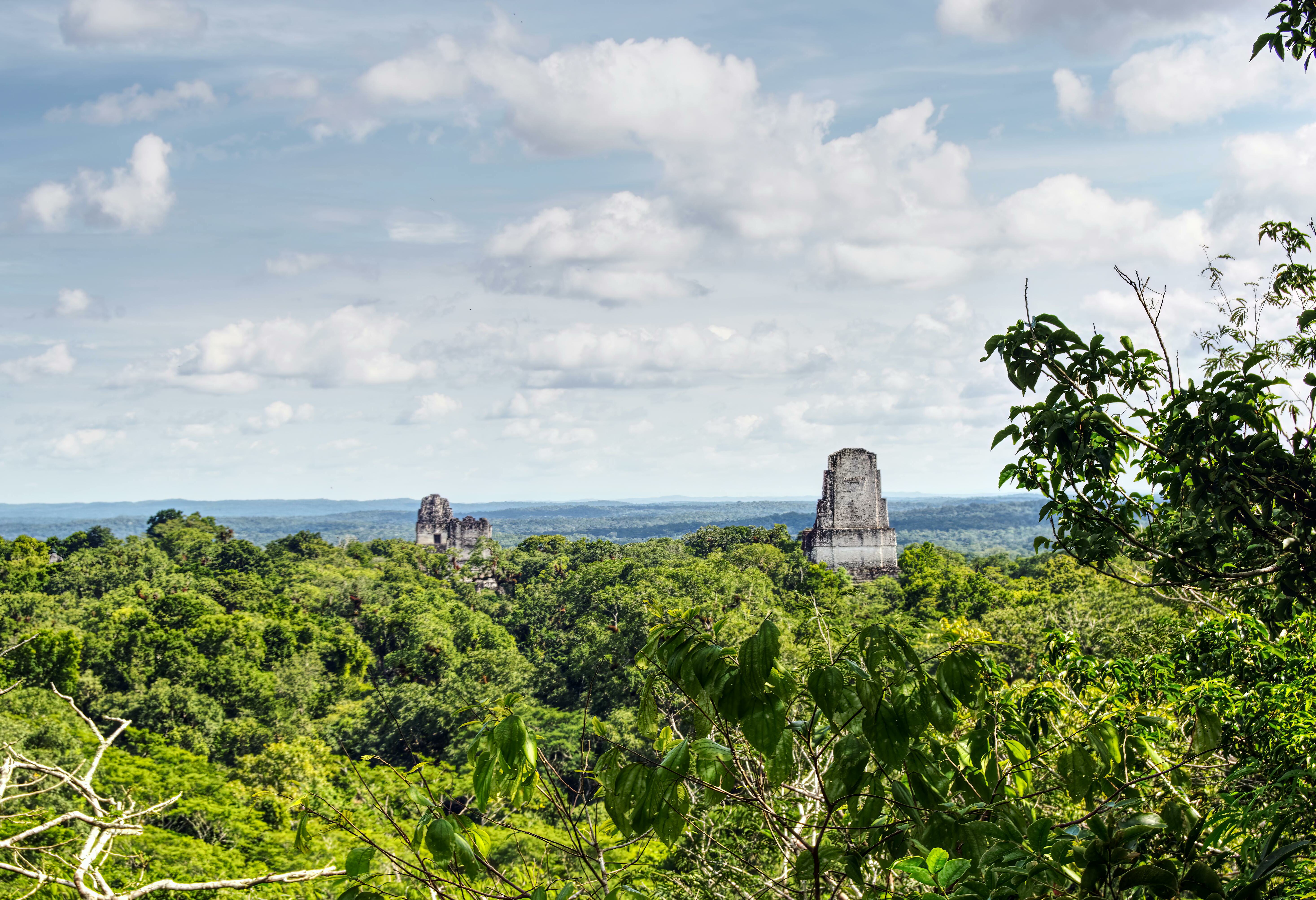 Guatemala Tikal Omgeving