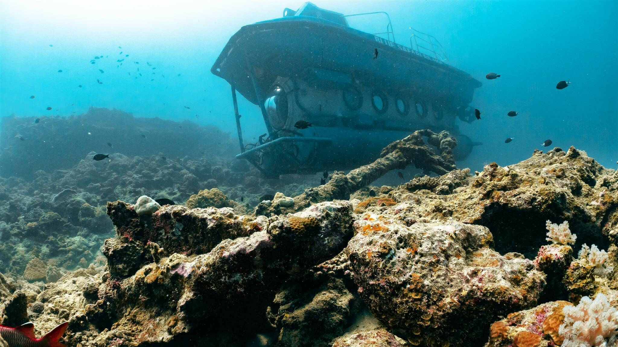 mauritius-submarine-adventure