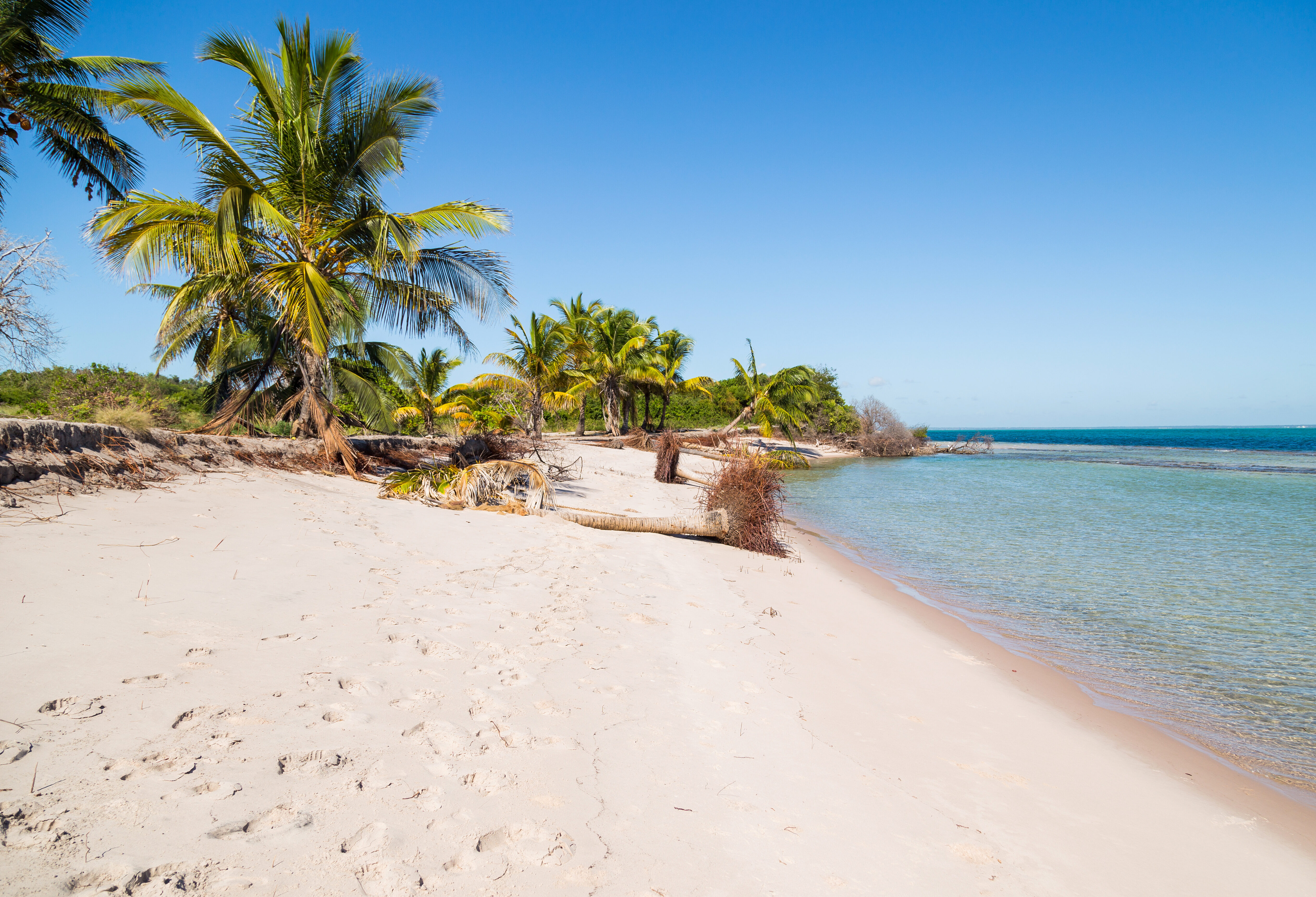 Strand in Mozambique