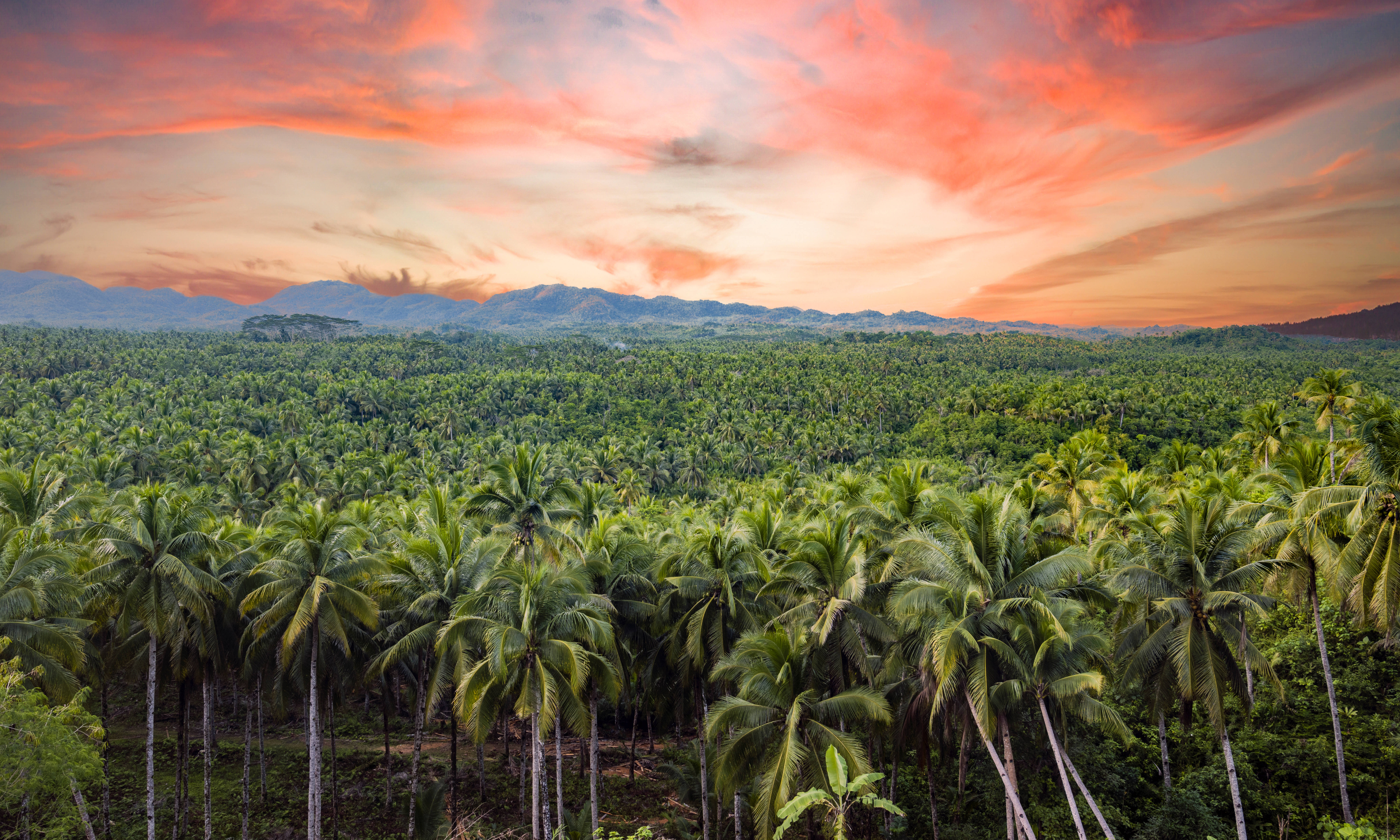 Siargao