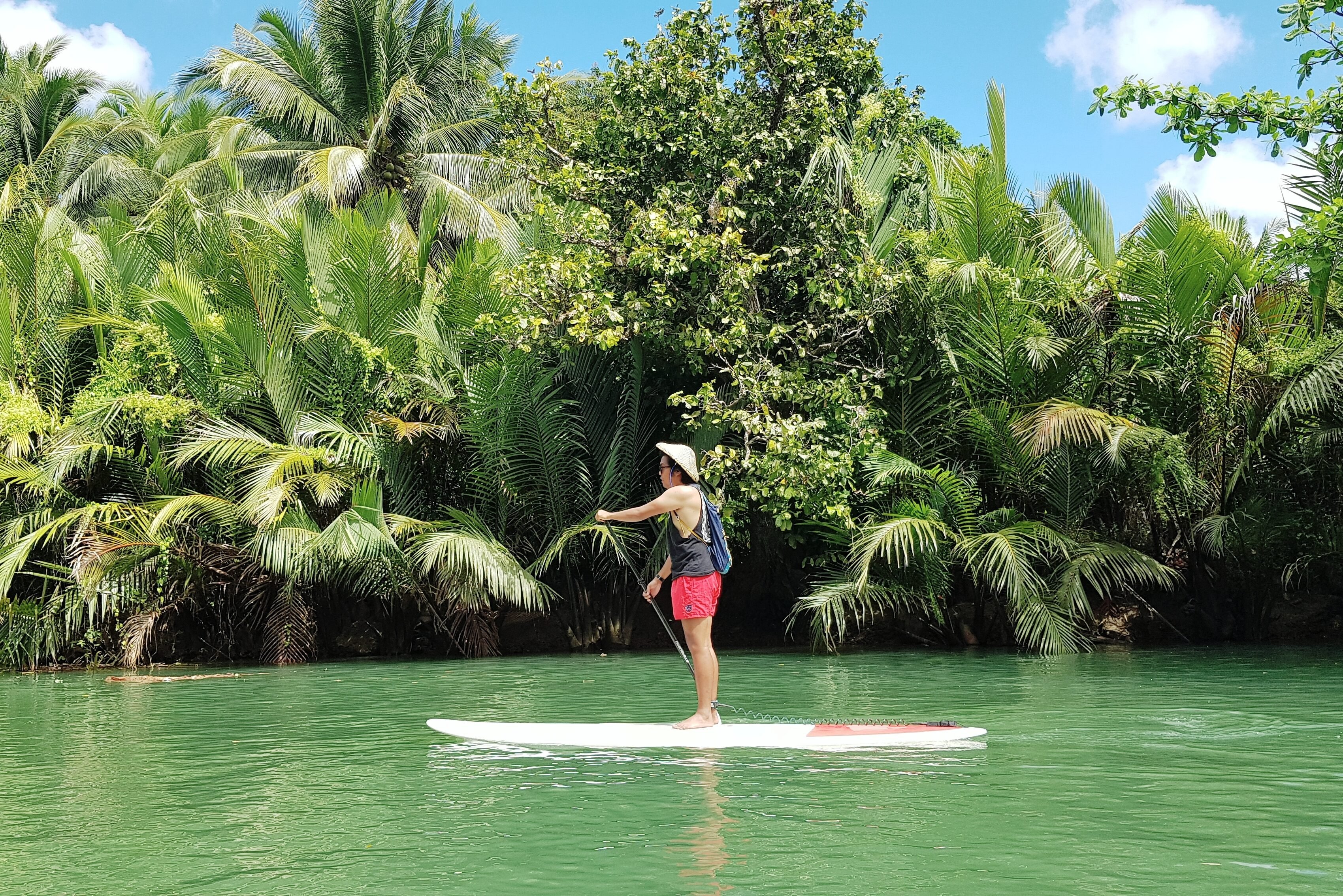 Suppen op de Loboc-rivier op Bohol