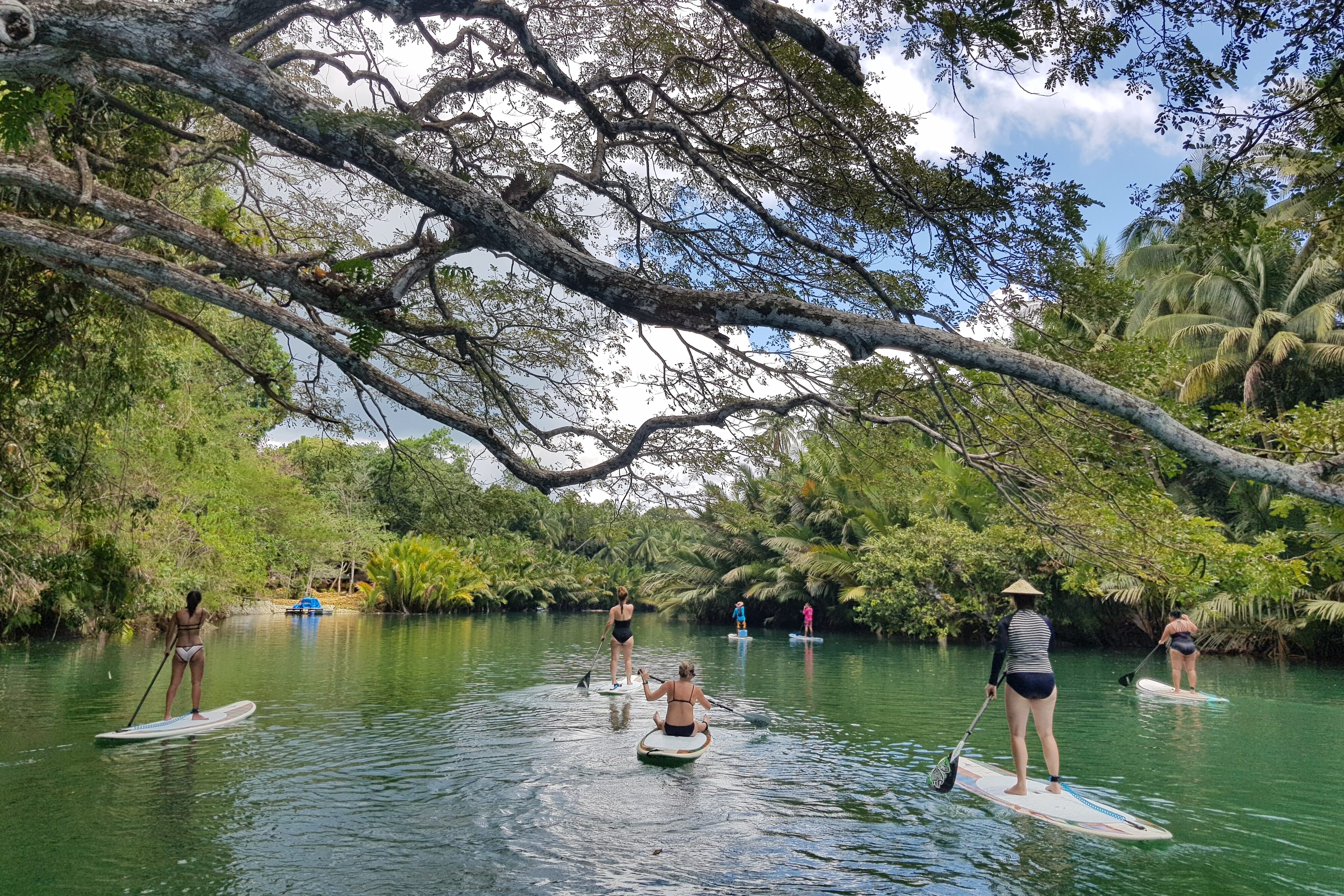 Suptocht op de Loboc-rivier op Bohol